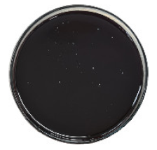 Molecules 27 00175 i005