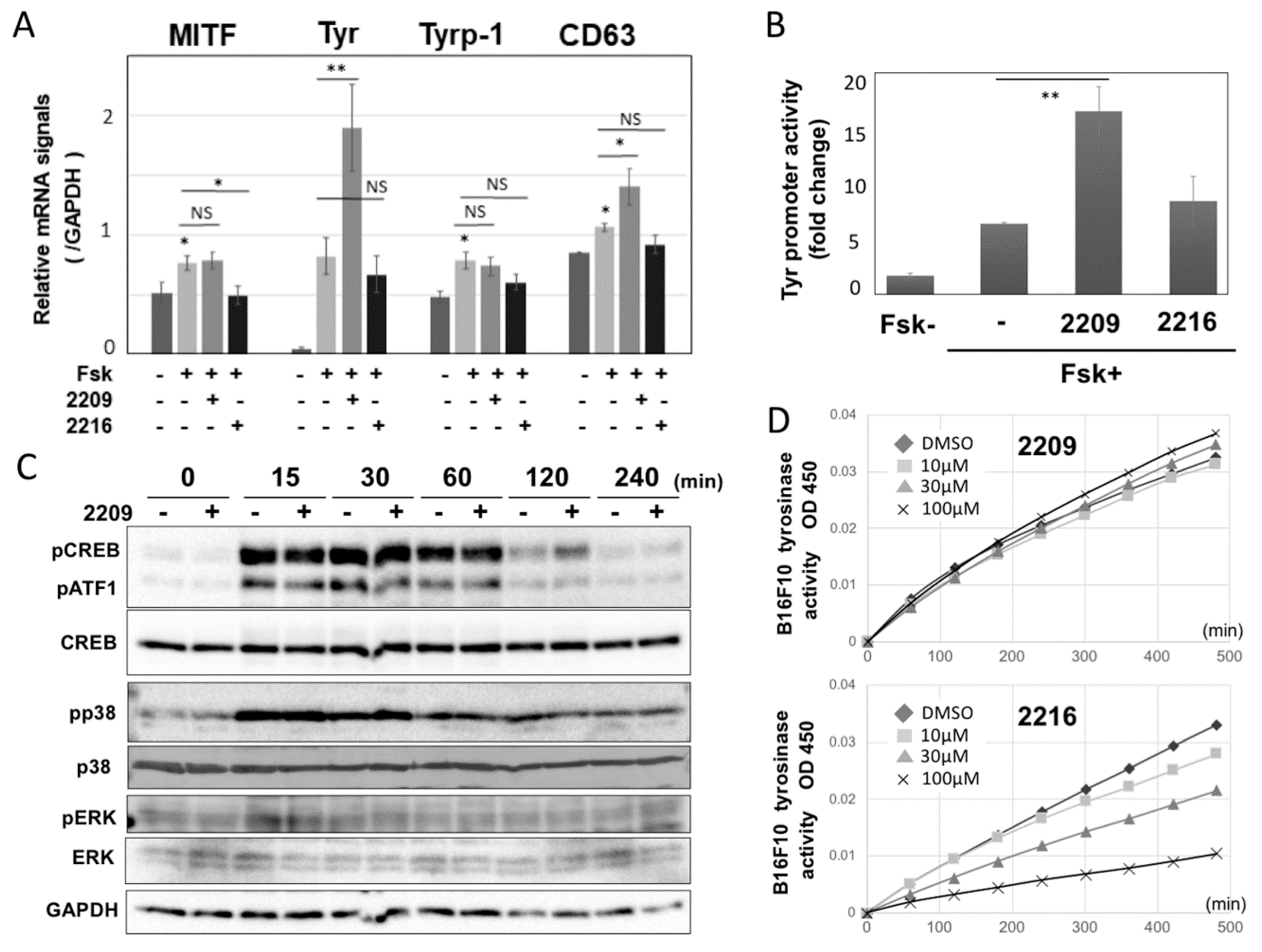 Molecules 27 00177 g003