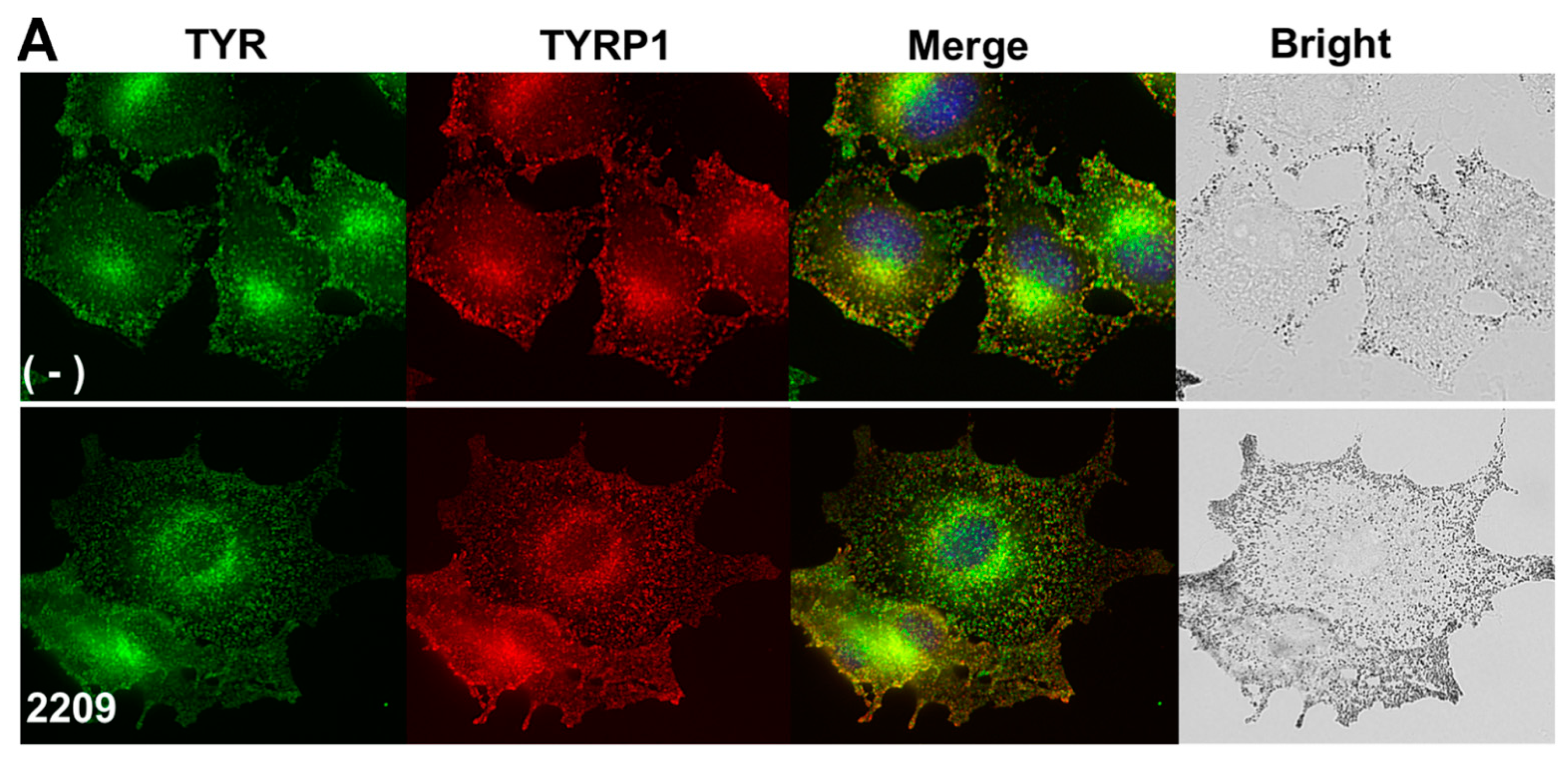 Molecules 27 00177 g004a