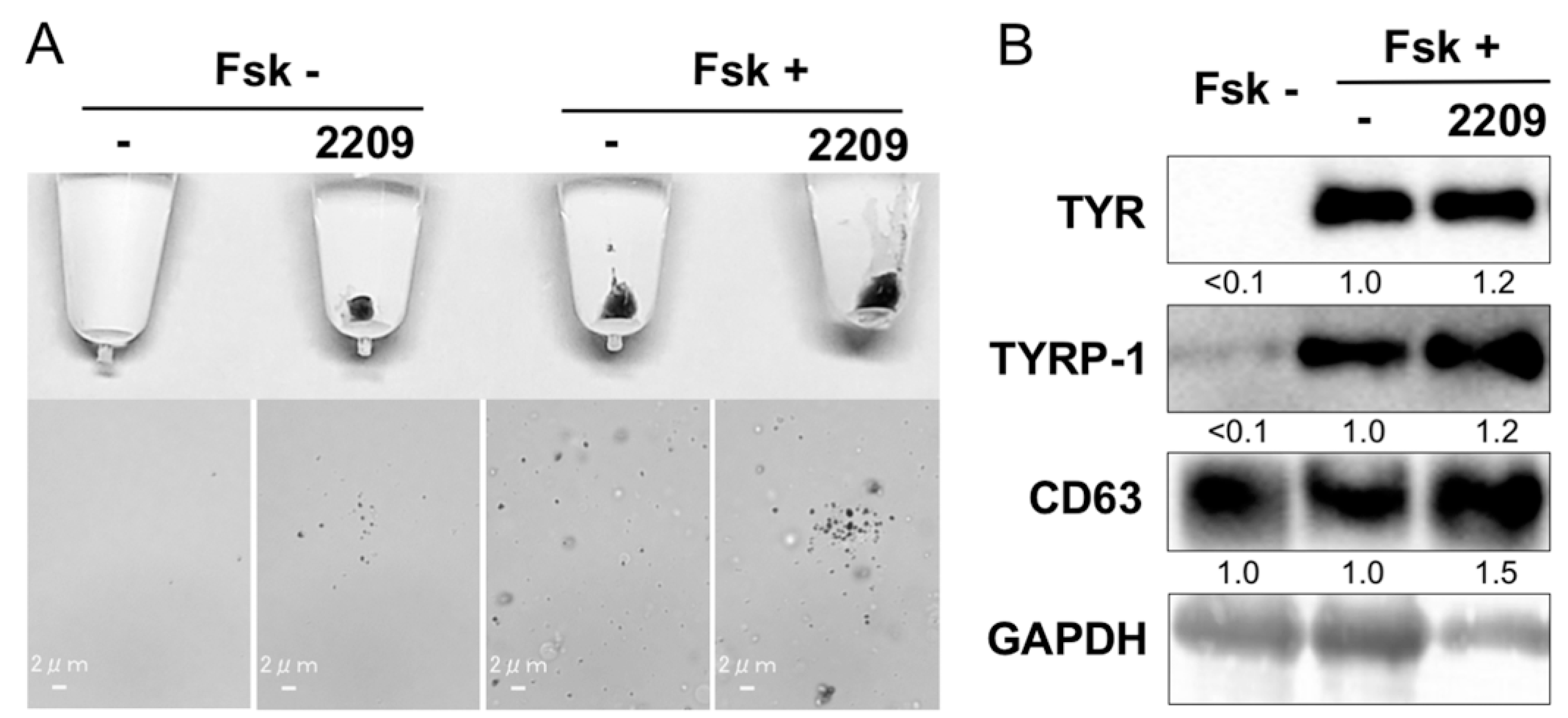 Molecules 27 00177 g005