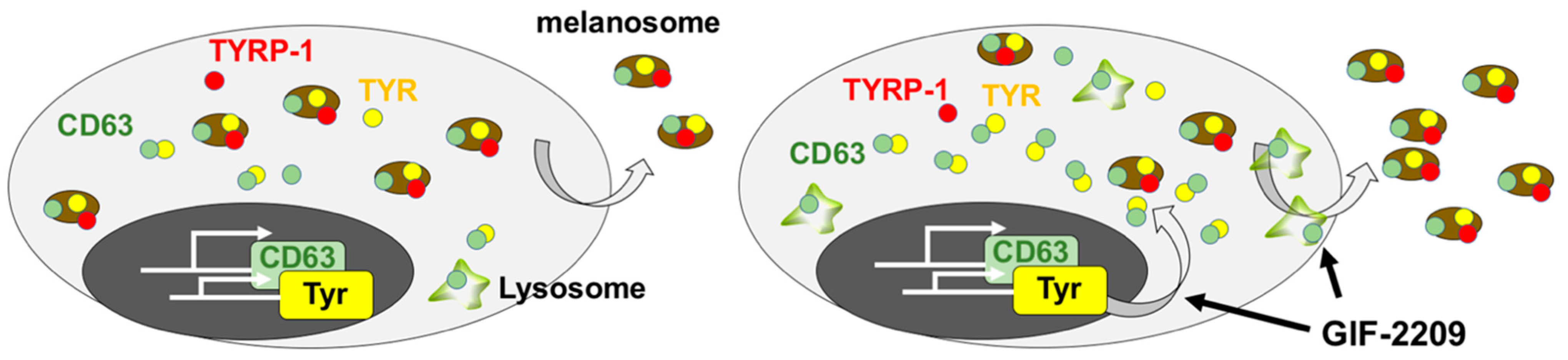 Molecules 27 00177 g007