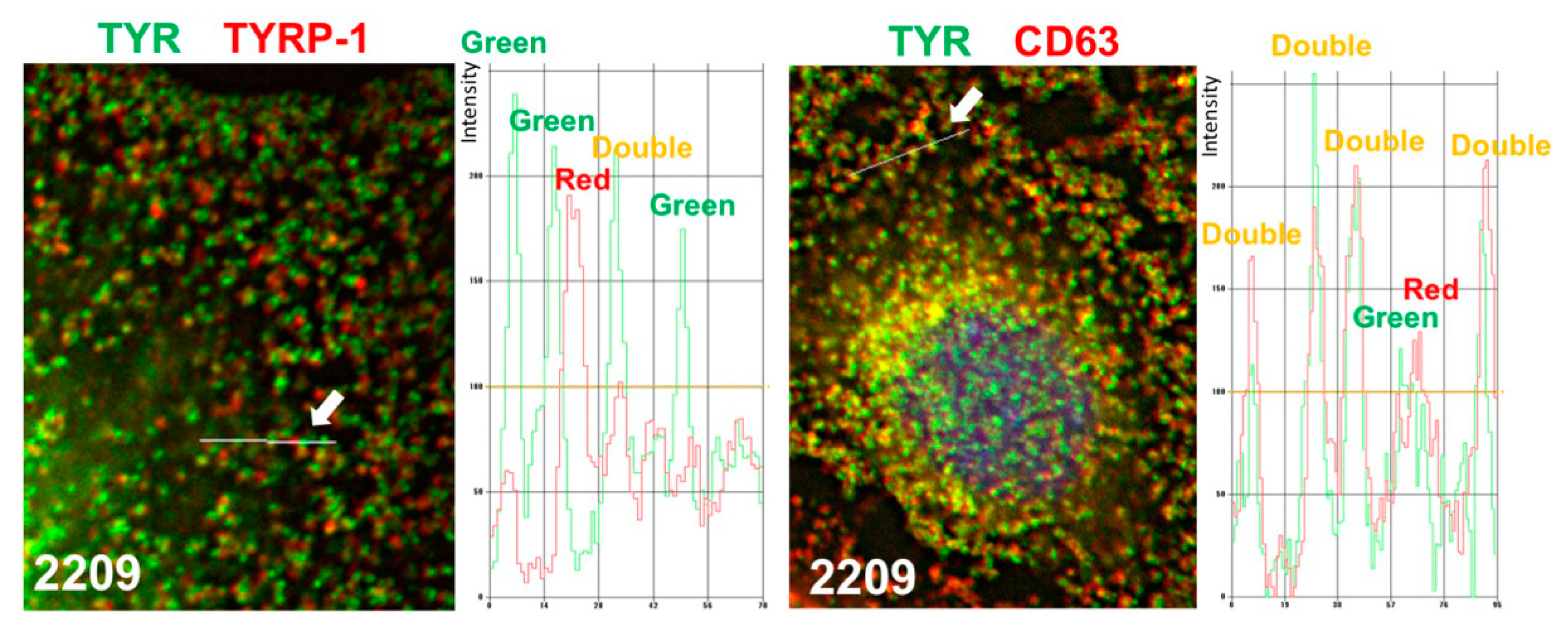 Molecules 27 00177 g009