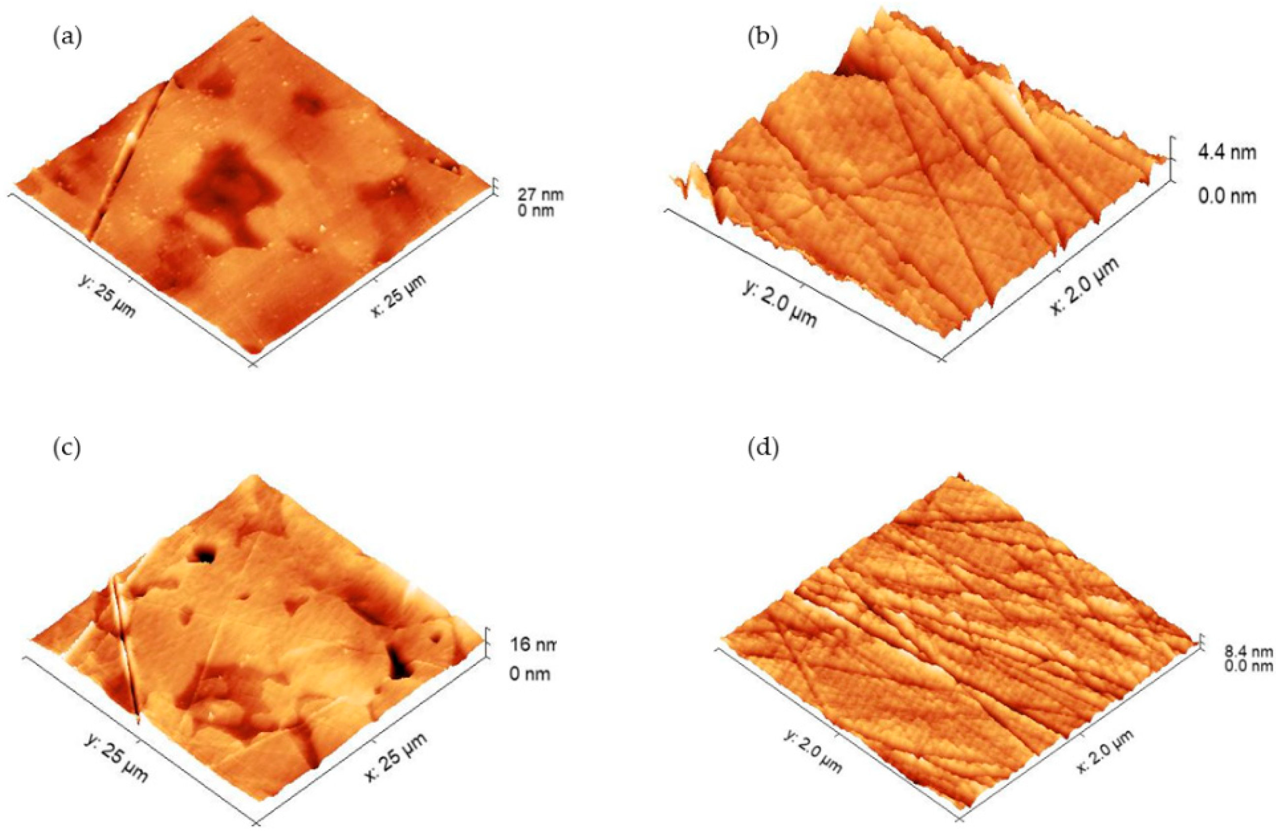 Molecules 27 00179 g001