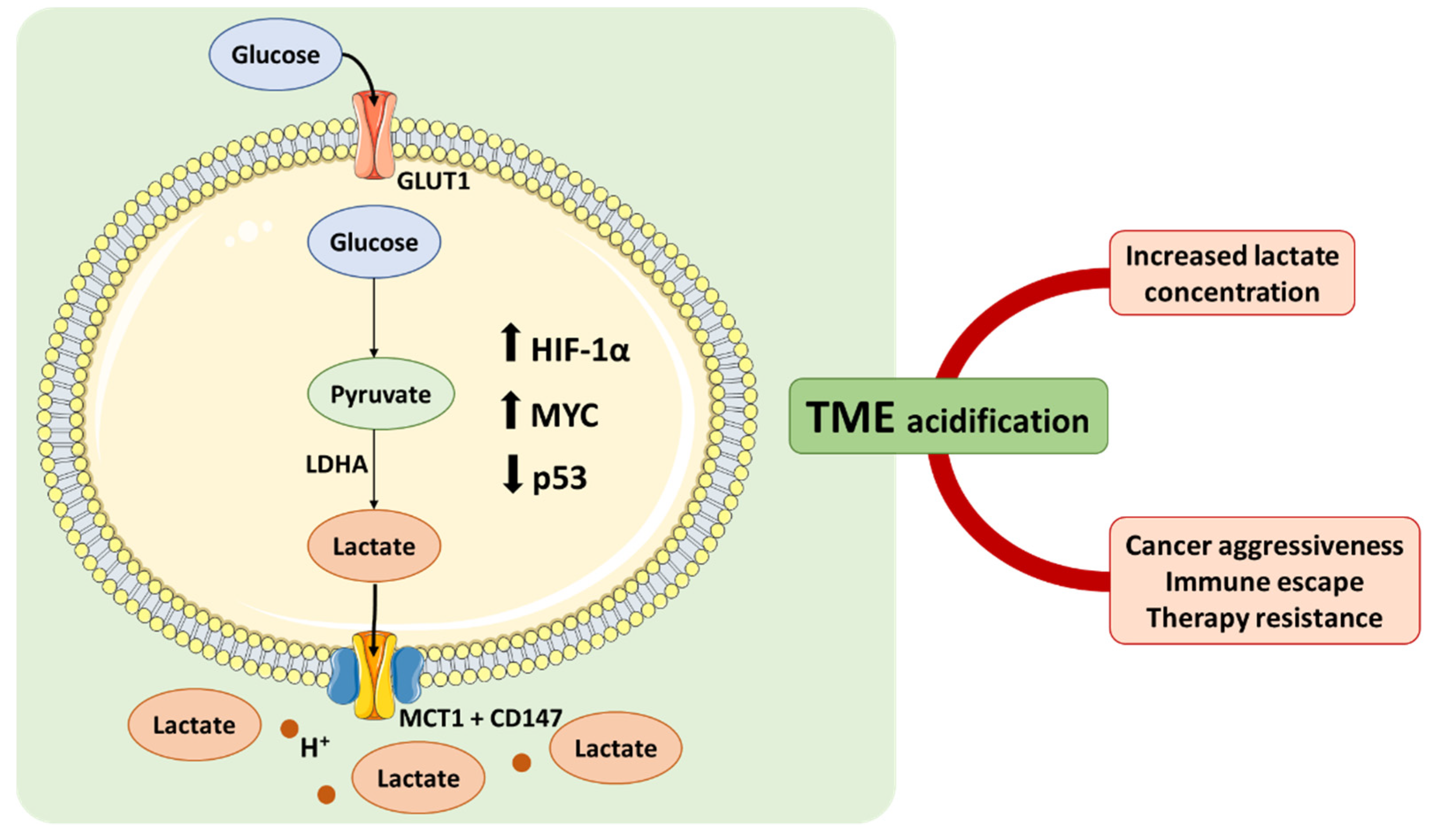 Molecules 27 00181 g001