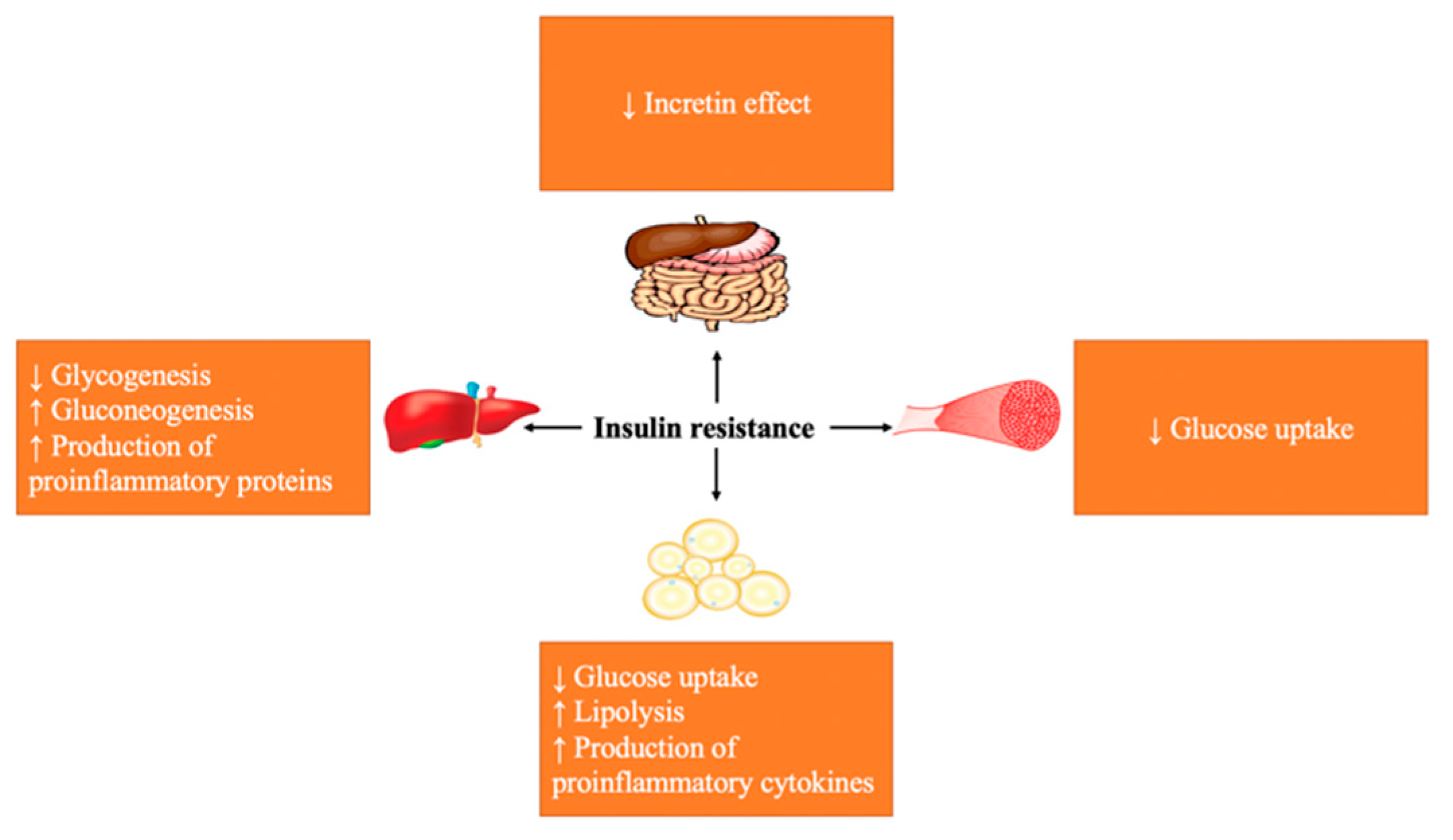 Molecules 27 00182 g001 Molecules 27 00182 g001