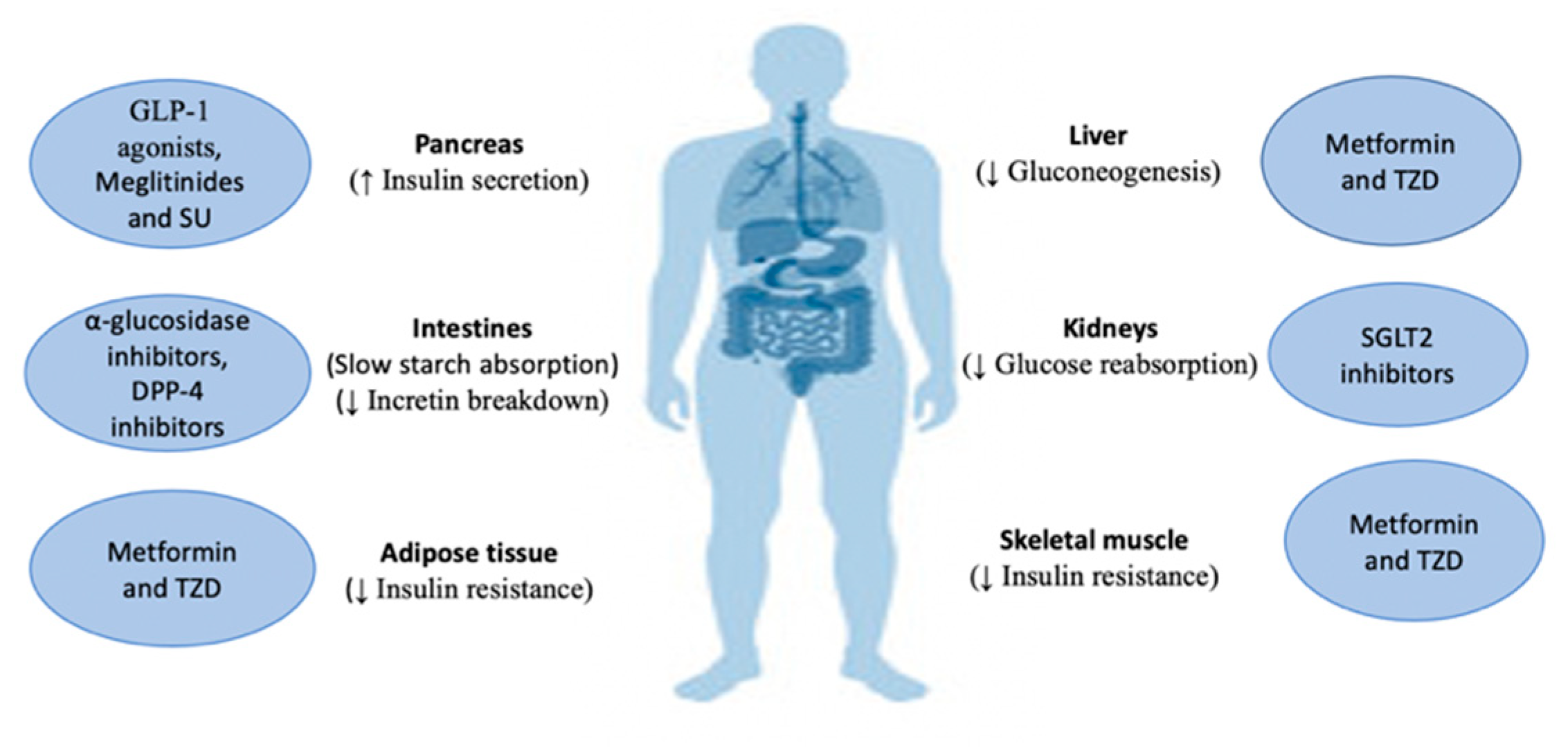 Molecules 27 00182 g002 Molecules 27 00182 g002