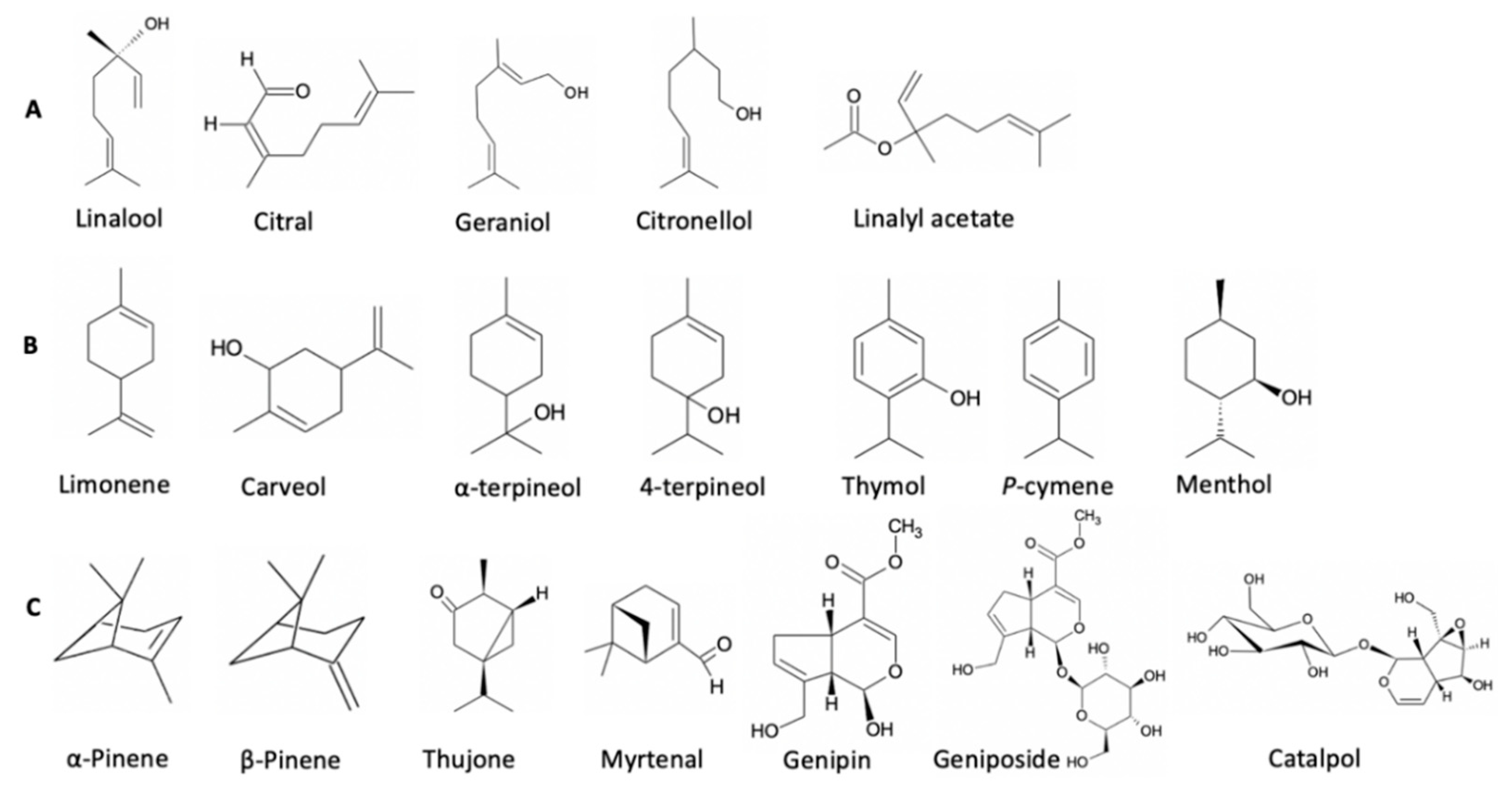 Molecules 27 00182 g003 Molecules 27 00182 g003