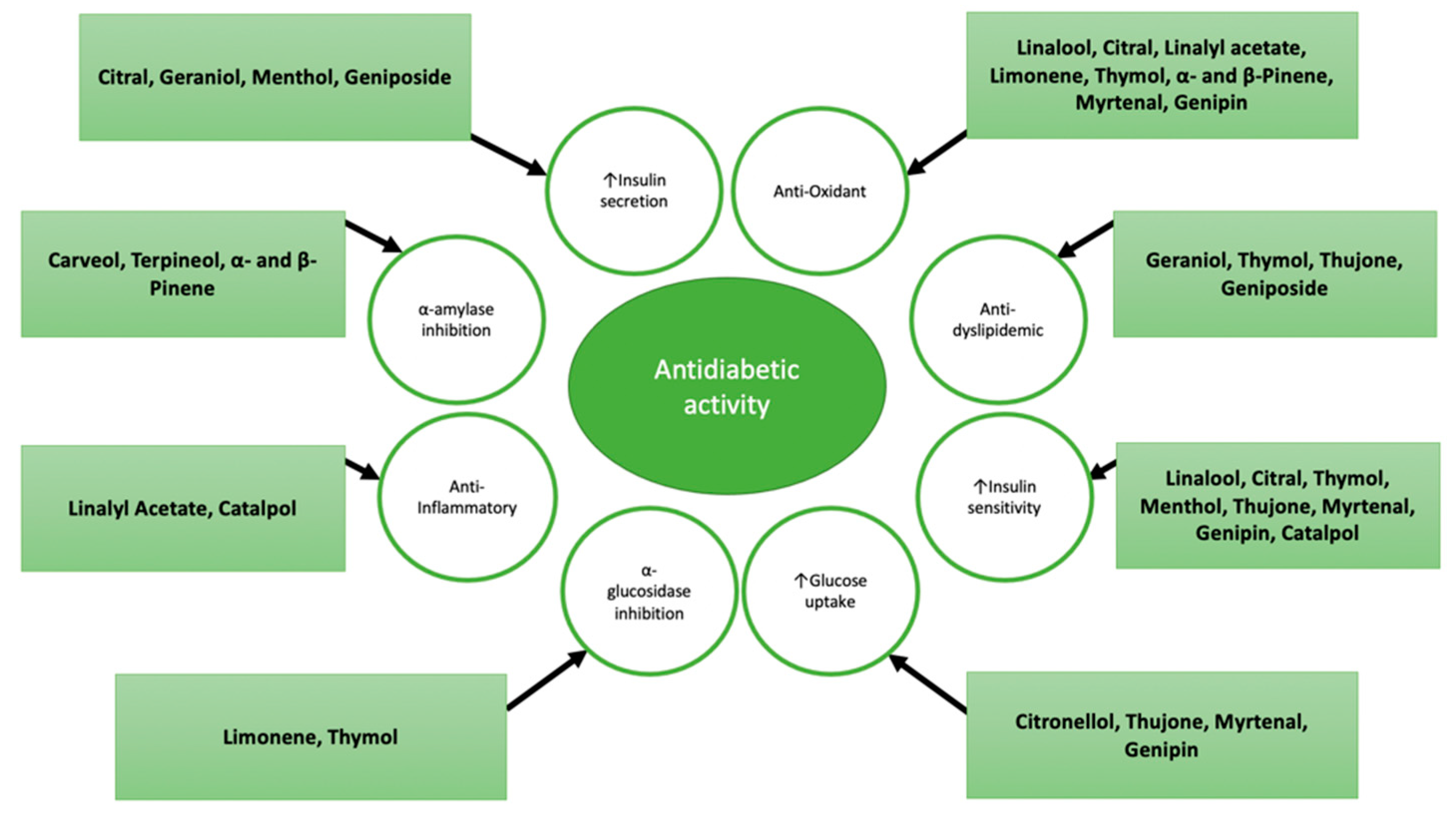 Molecules 27 00182 g004 Molecules 27 00182 g004