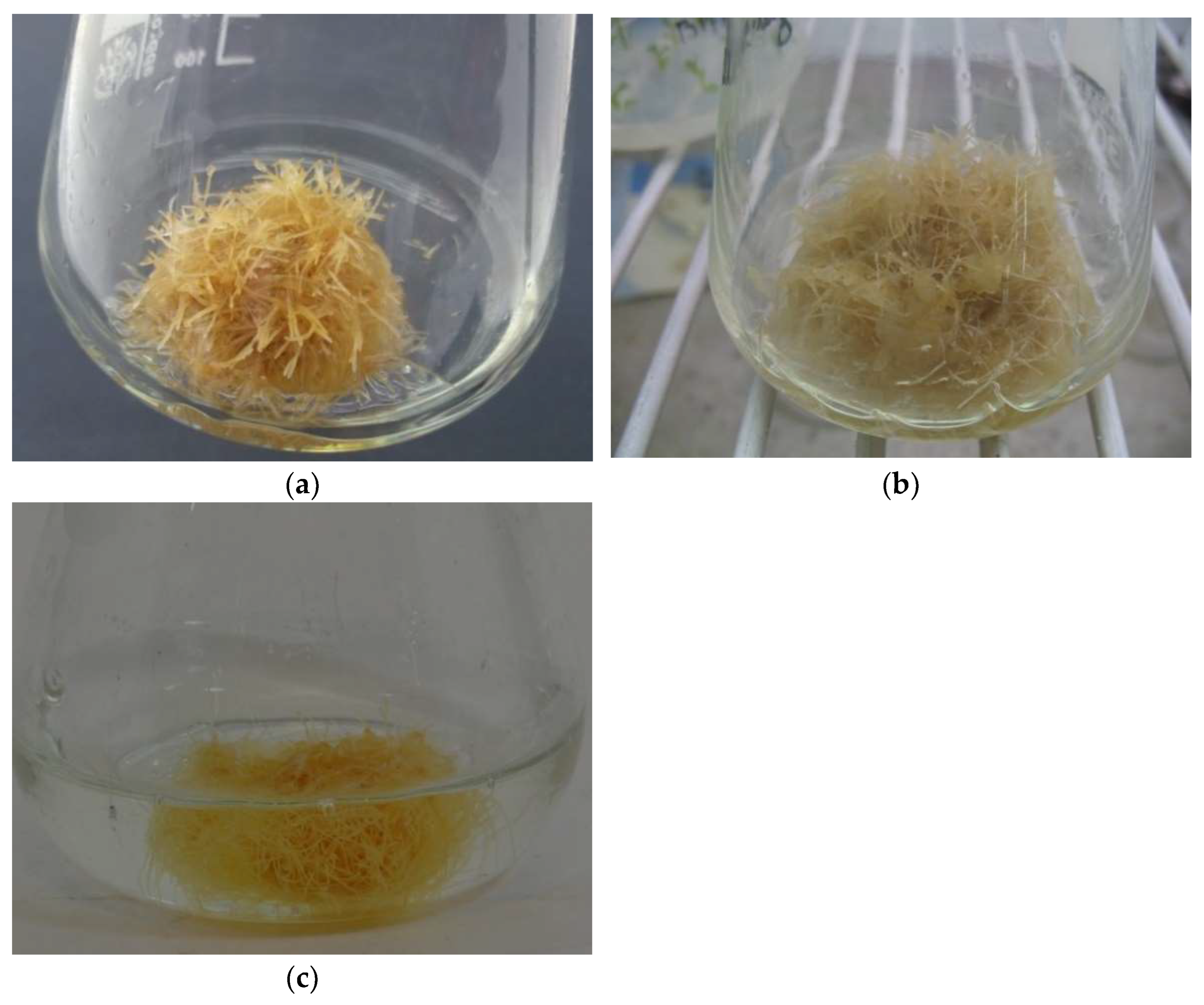 Molecules 27 00186 g002