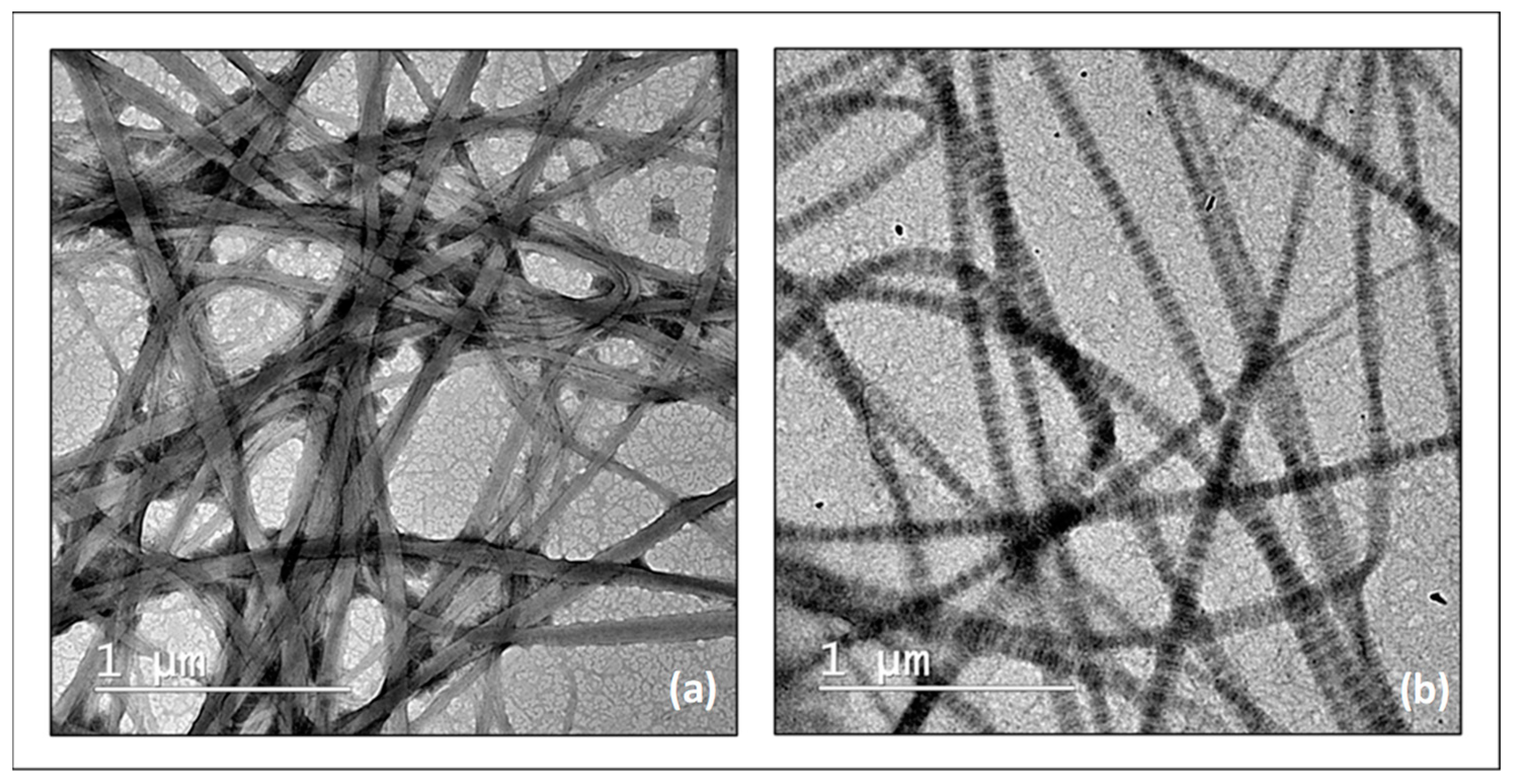 Molecules 27 00190 g003