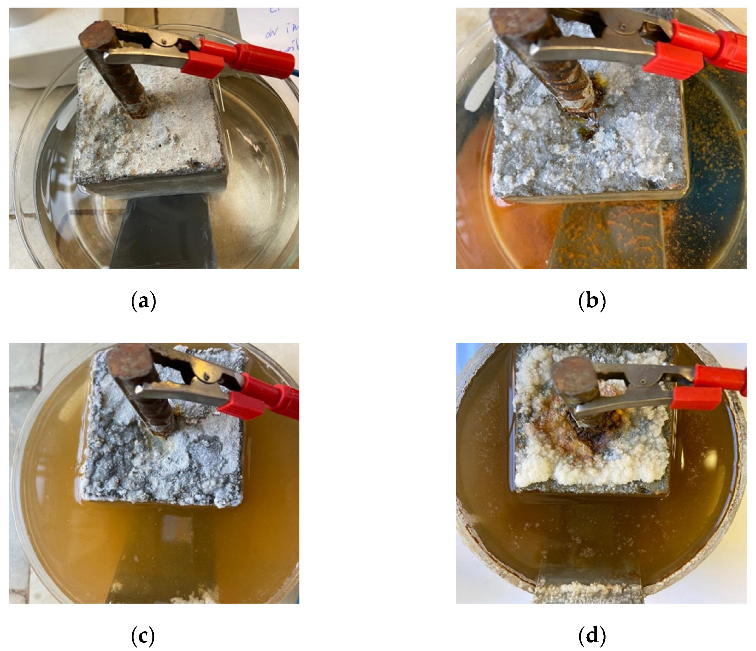 Molecules 27 00192 g006