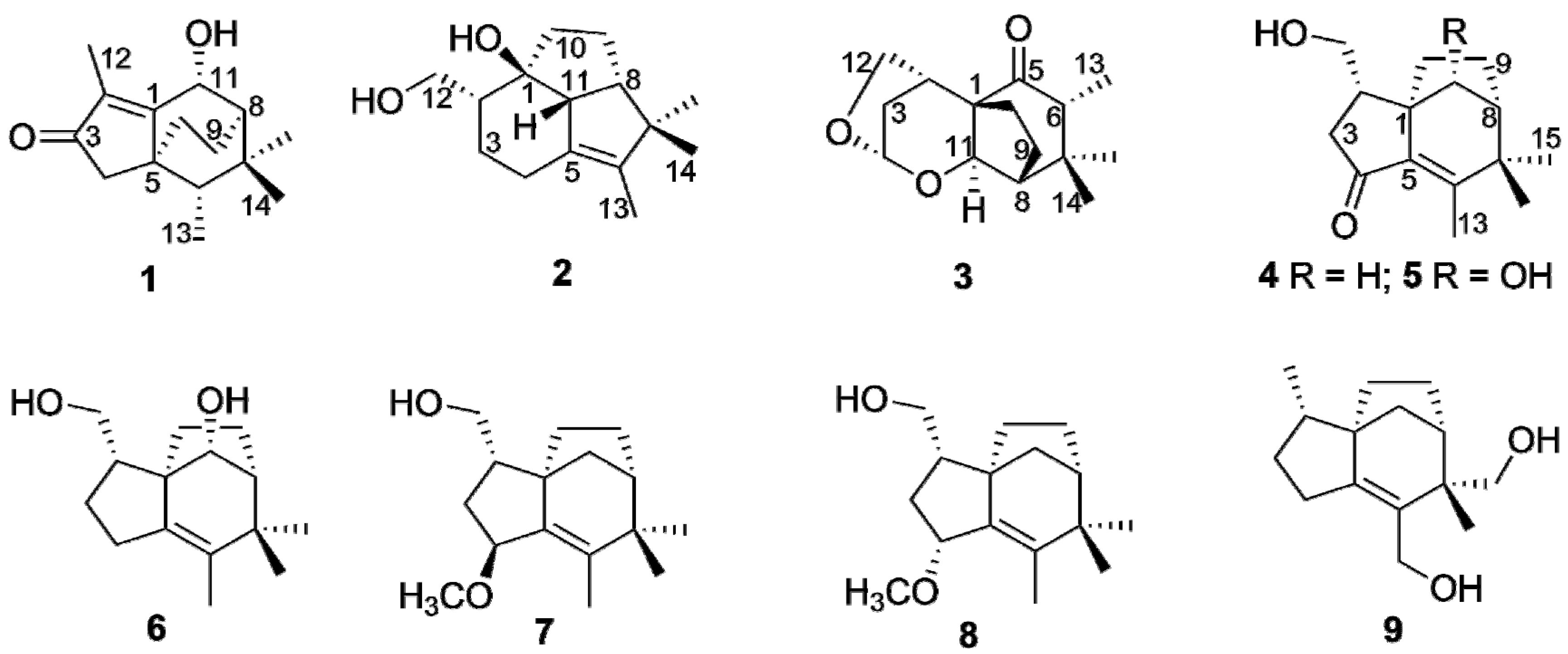 Molecules 27 00198 g001