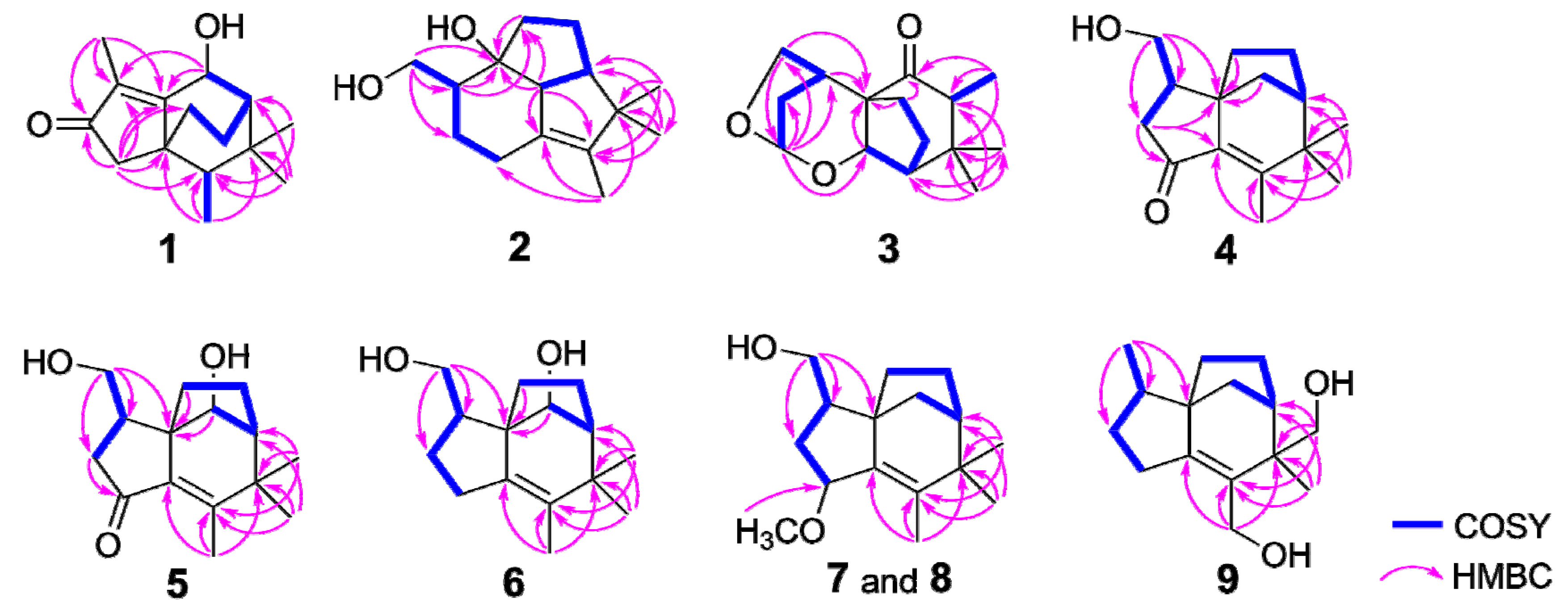 Molecules 27 00198 g002