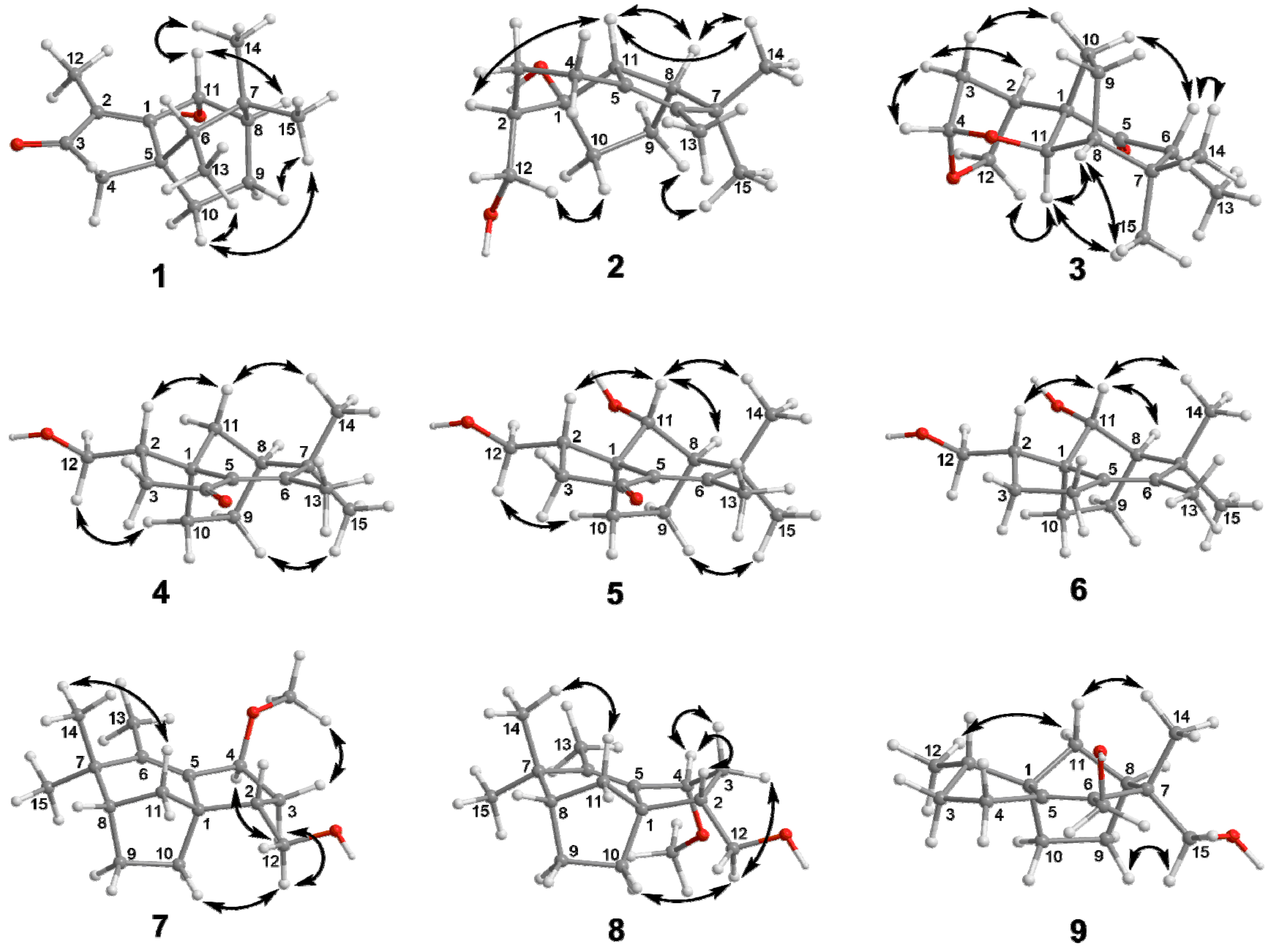 Molecules 27 00198 g003