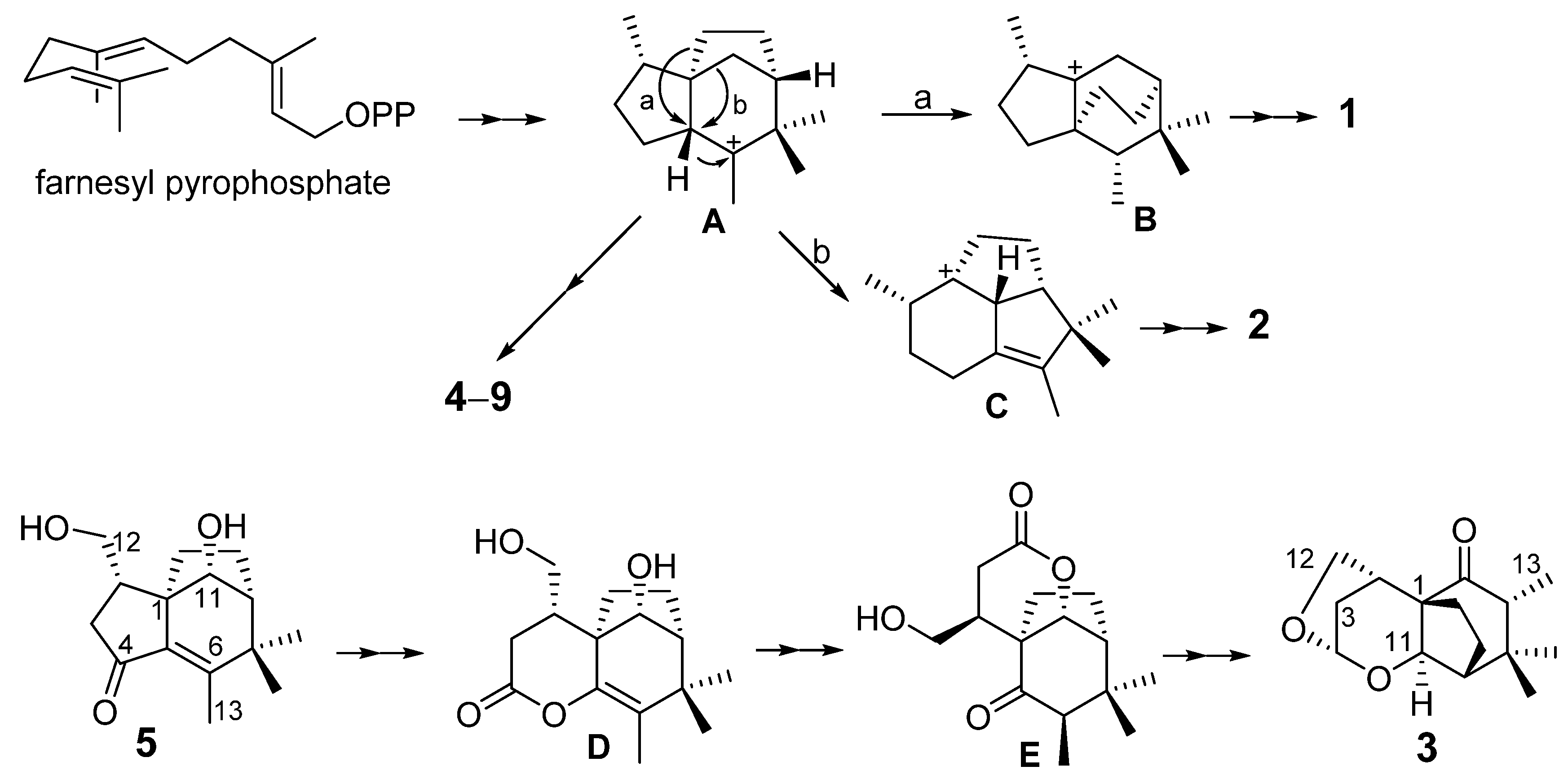 Molecules 27 00198 g007