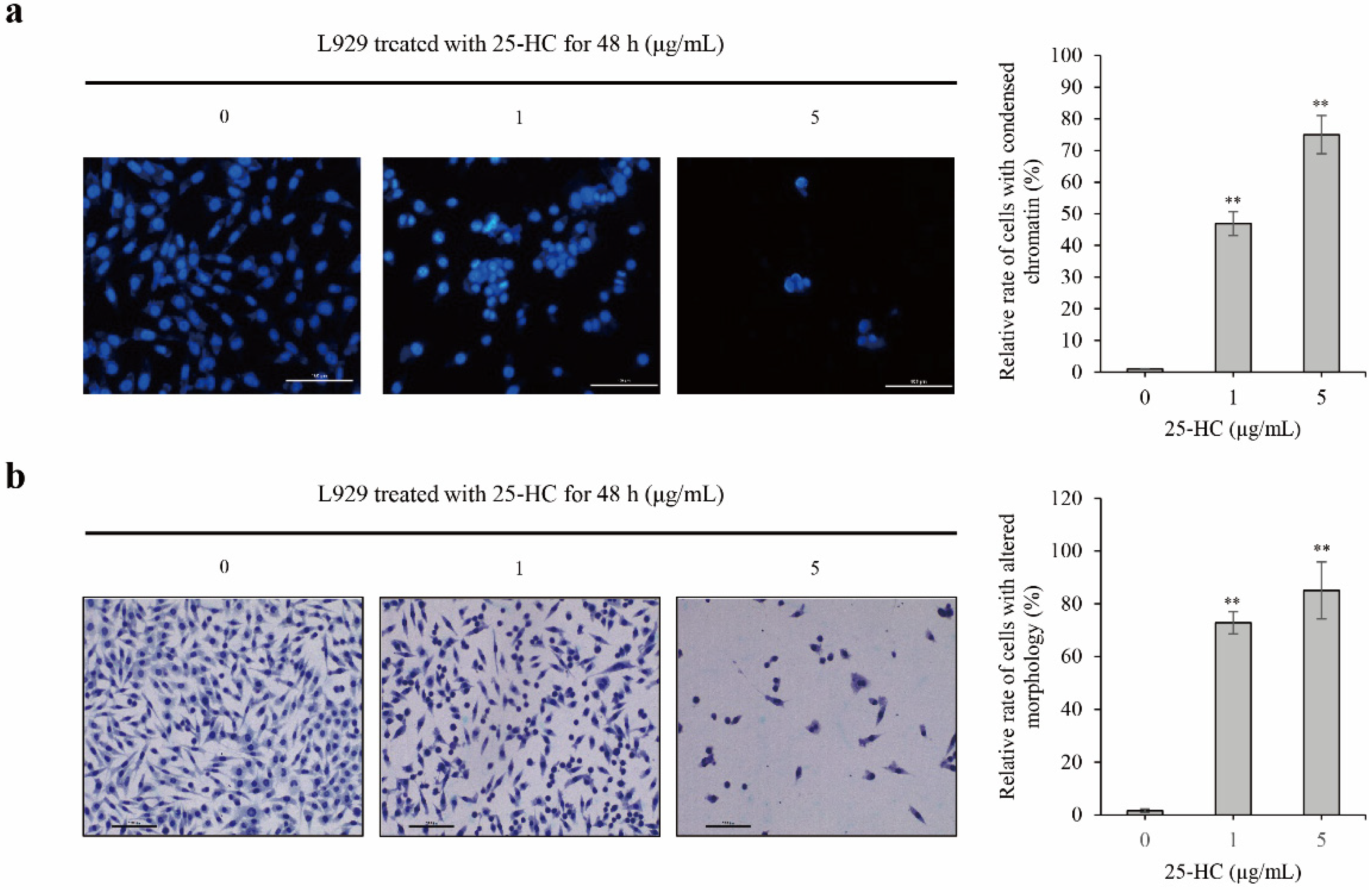Molecules 27 00199 g003