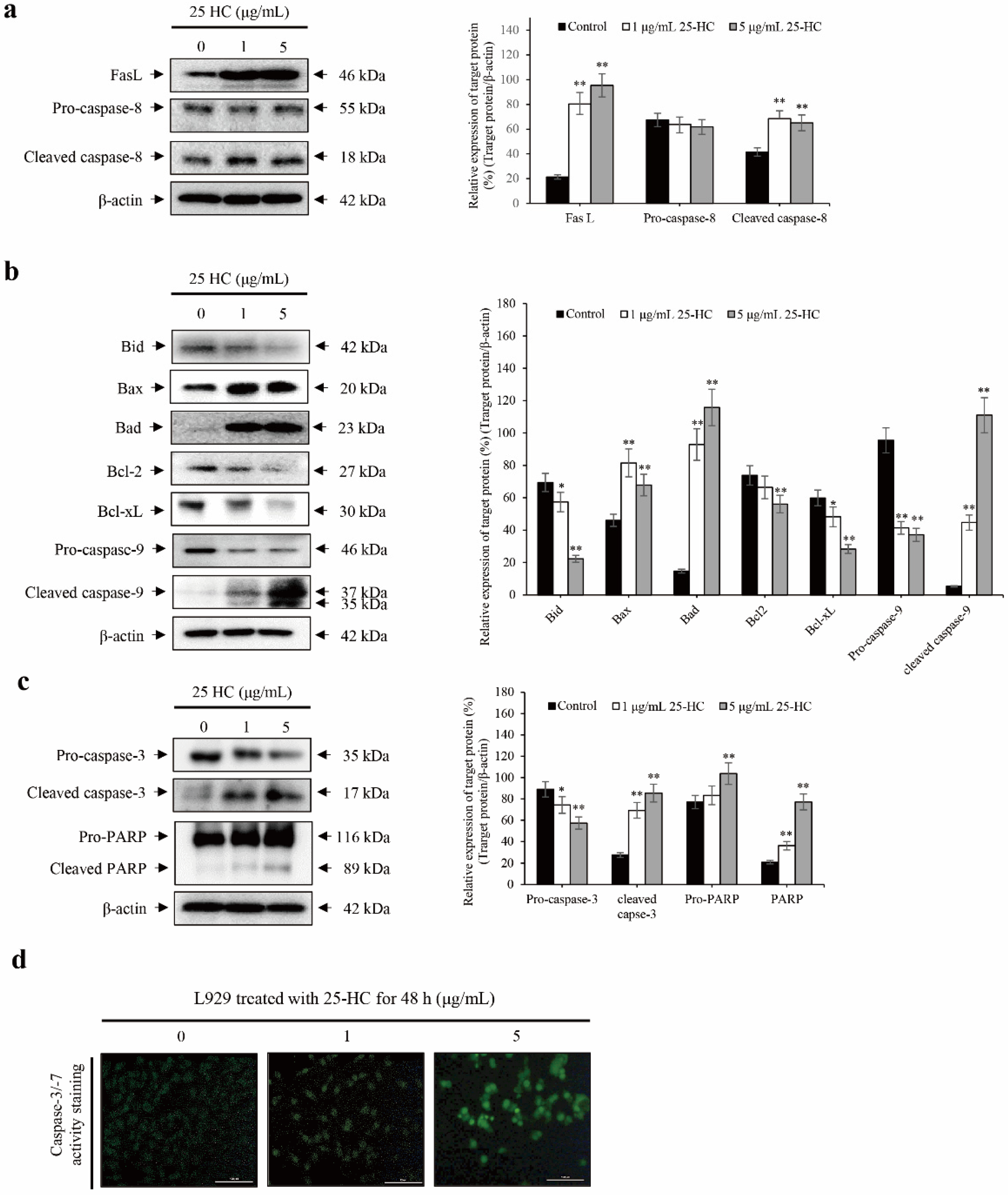 Molecules 27 00199 g005