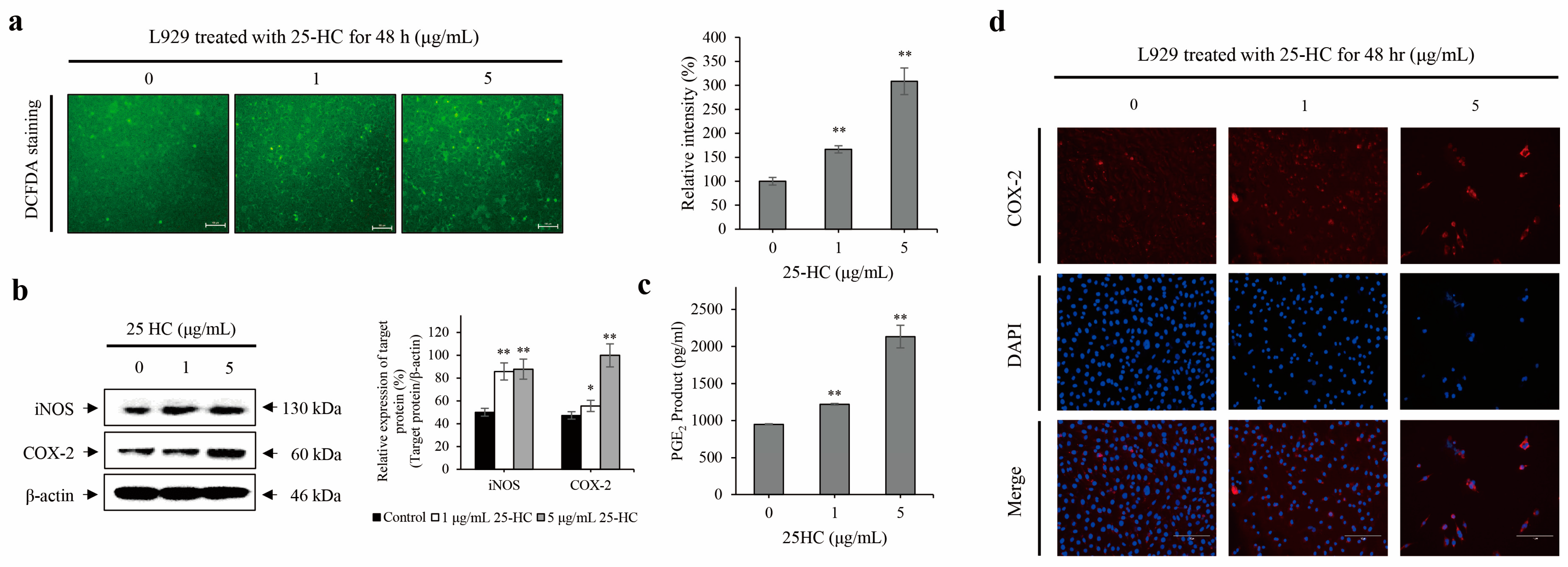 Molecules 27 00199 g006