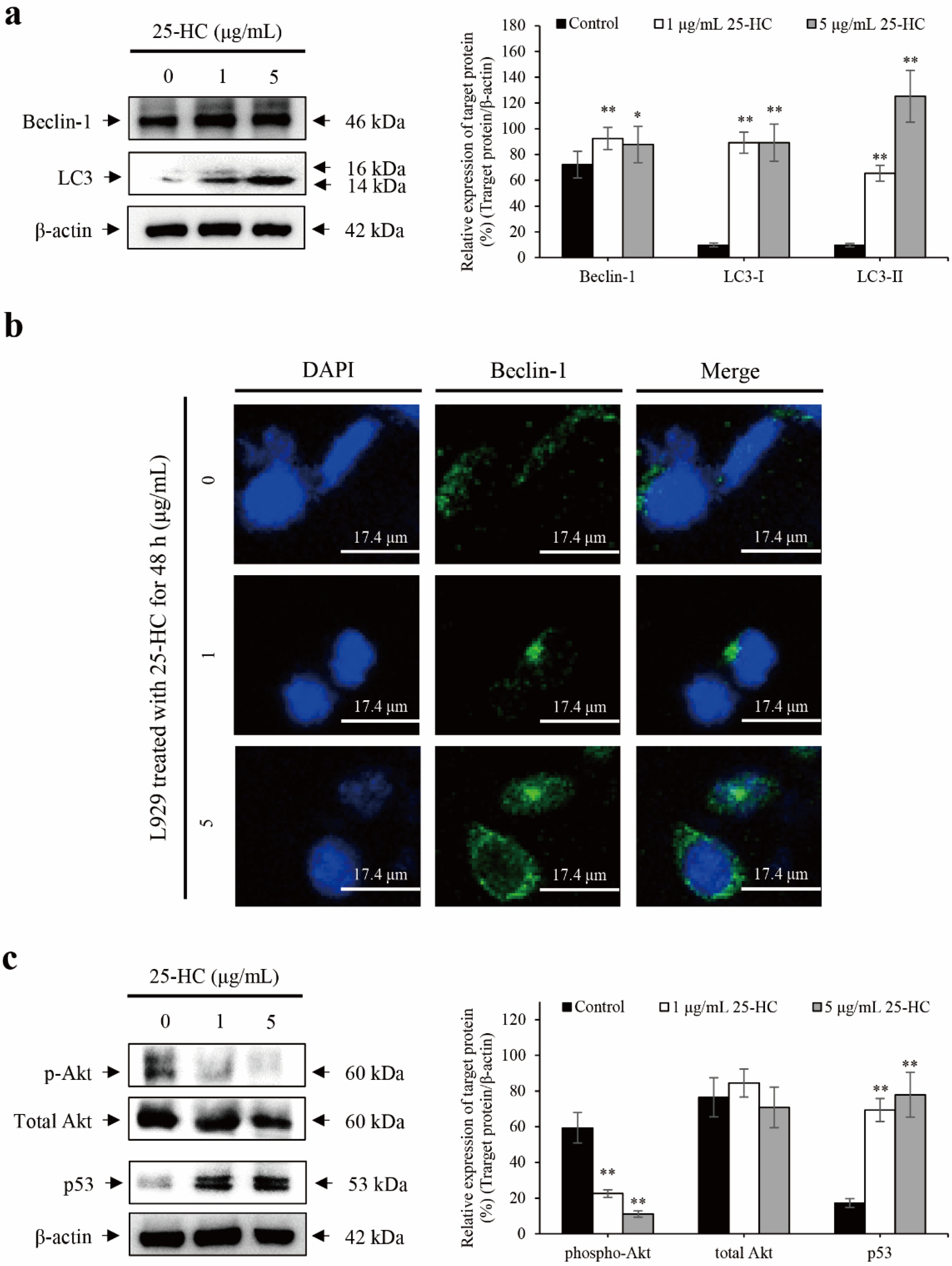 Molecules 27 00199 g007