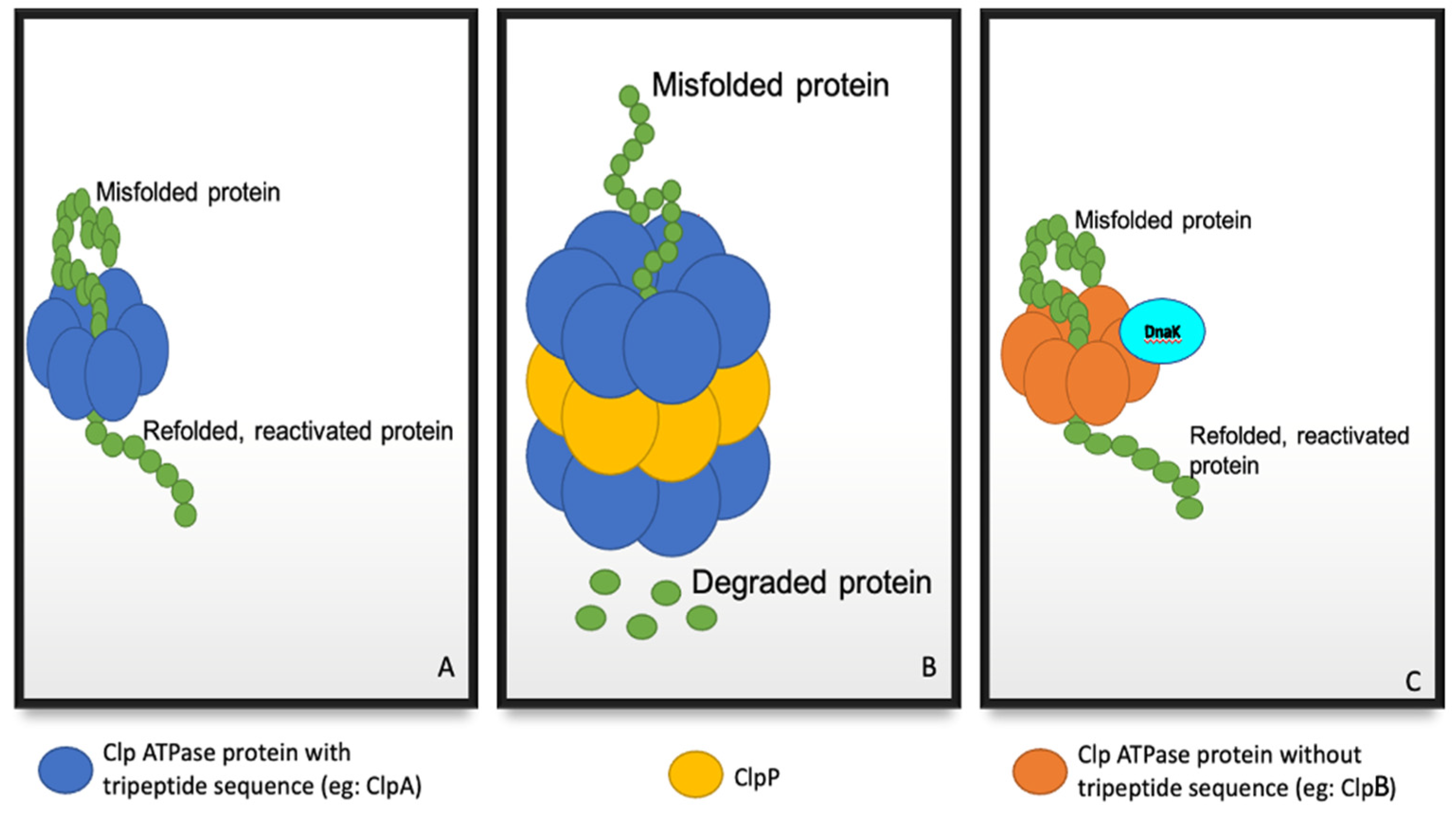 Molecules 27 00200 g001