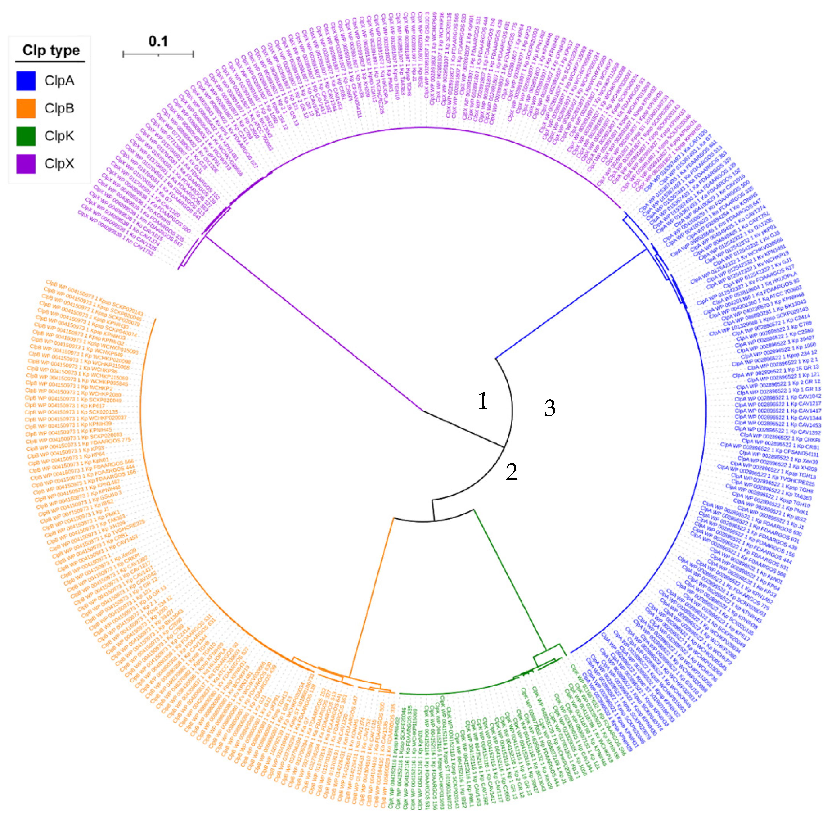 Molecules 27 00200 g004