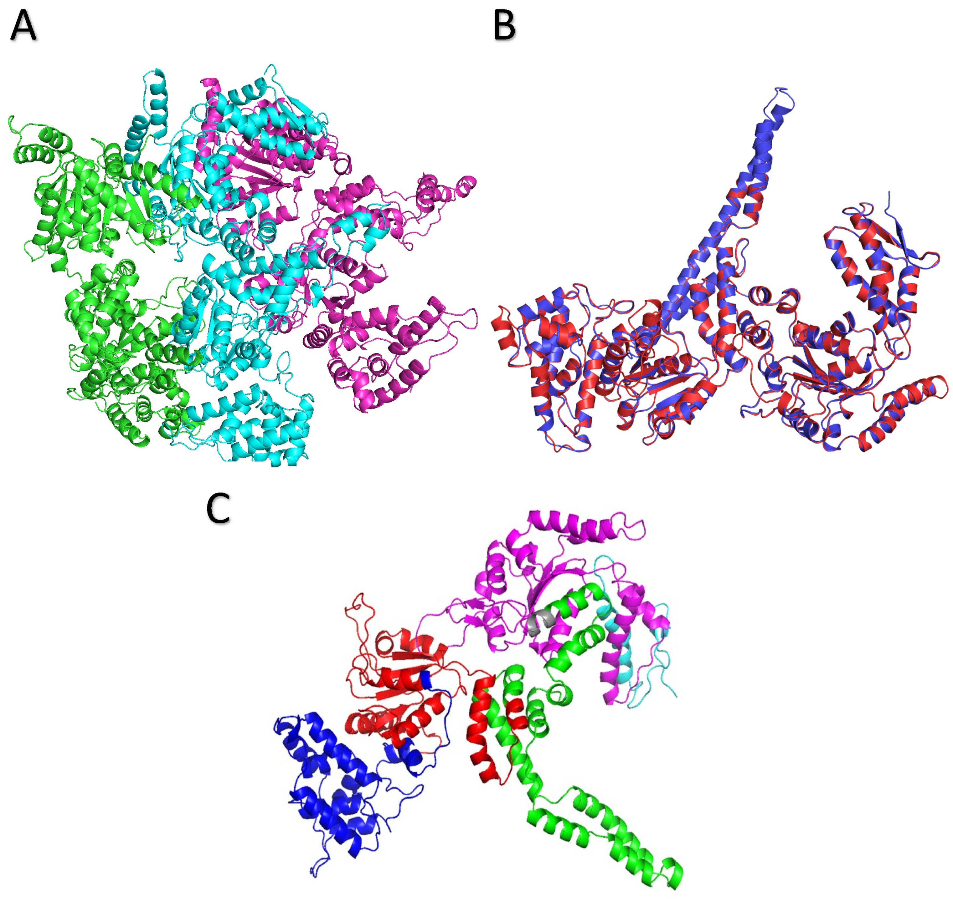 Molecules 27 00200 g006