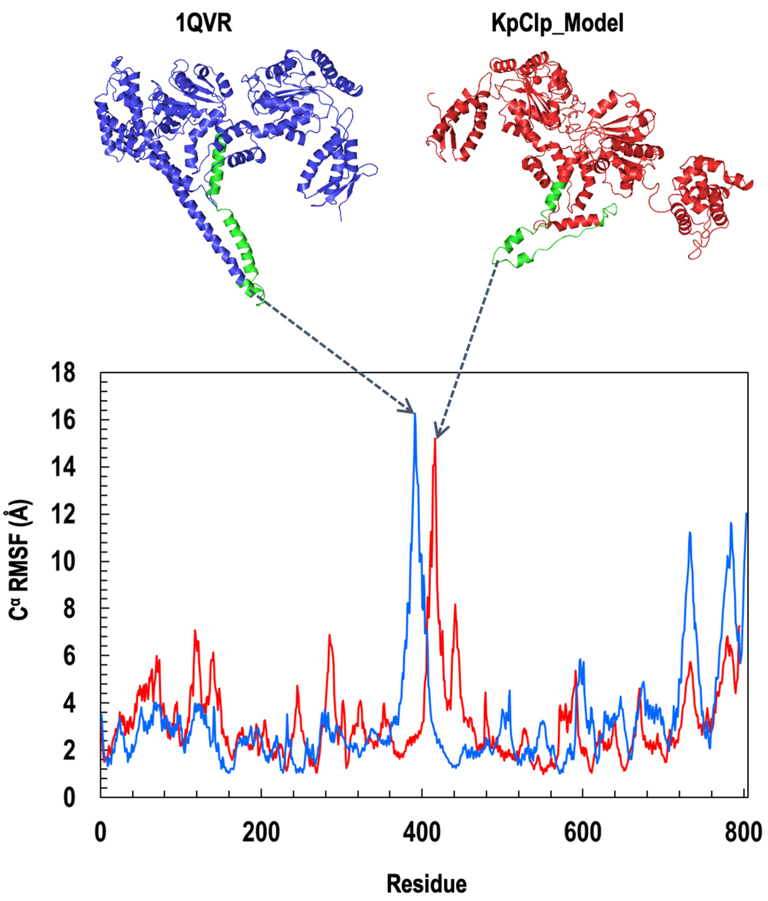 Molecules 27 00200 g010