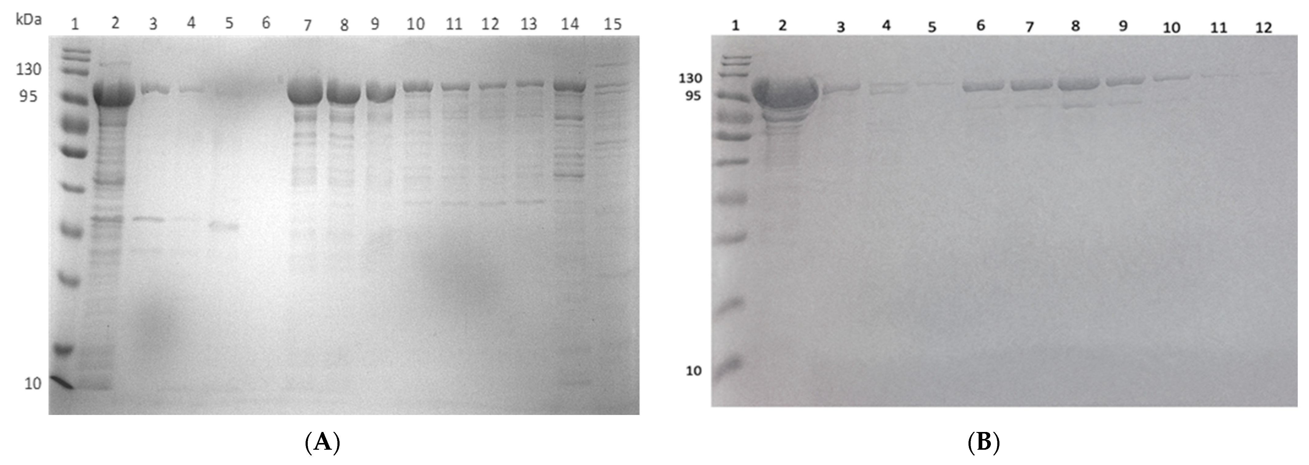 Molecules 27 00200 g014