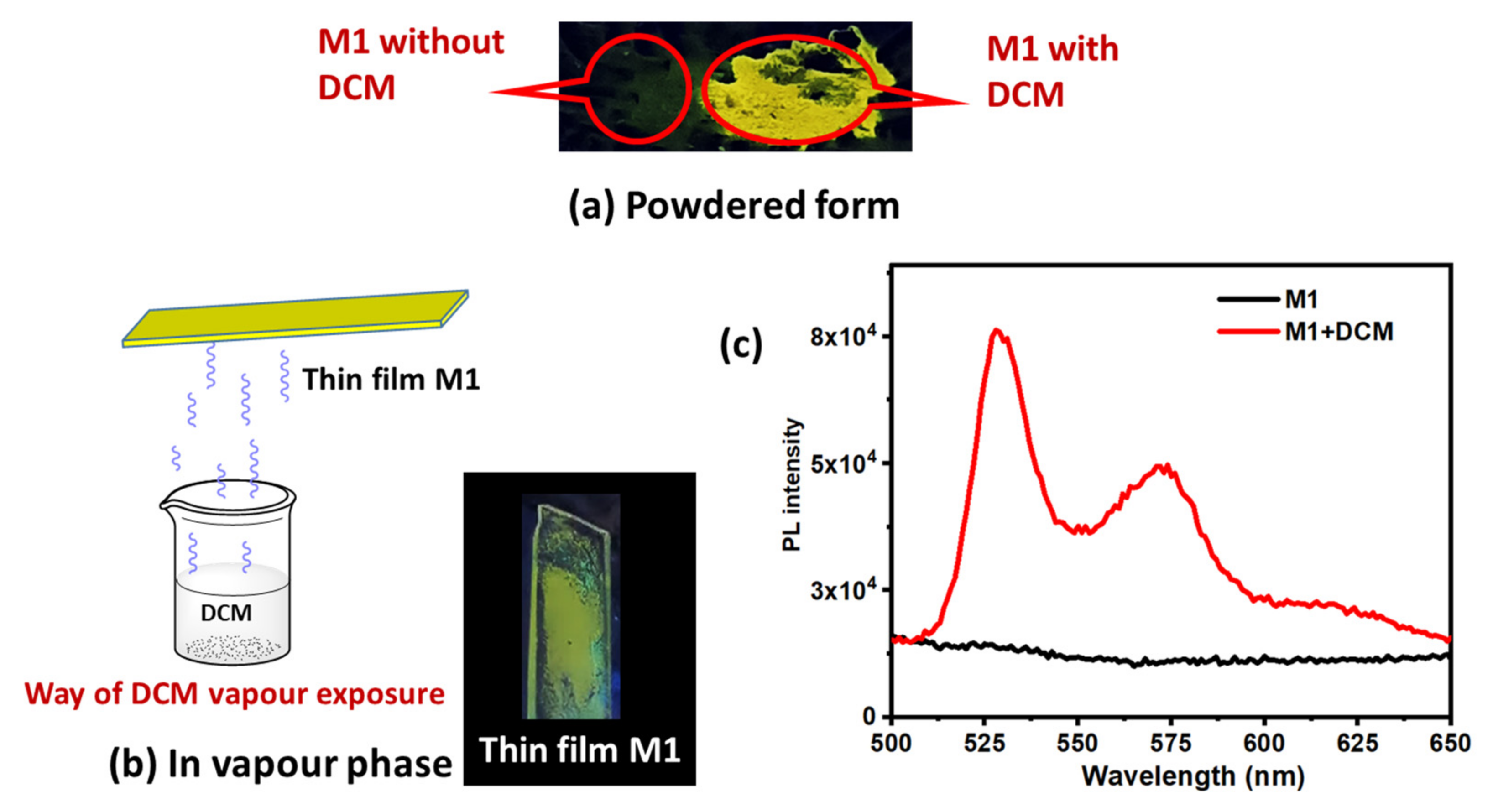 Molecules 27 00202 g002