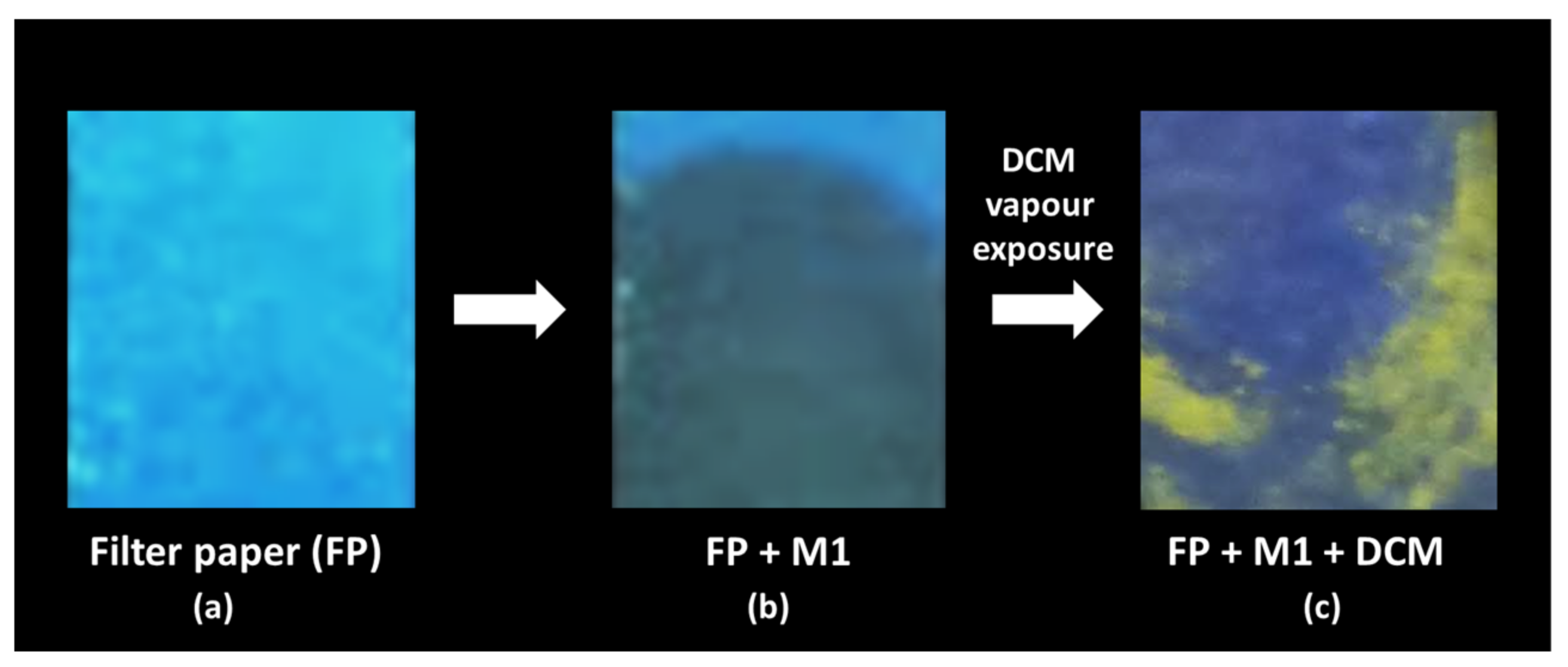 Molecules 27 00202 g003