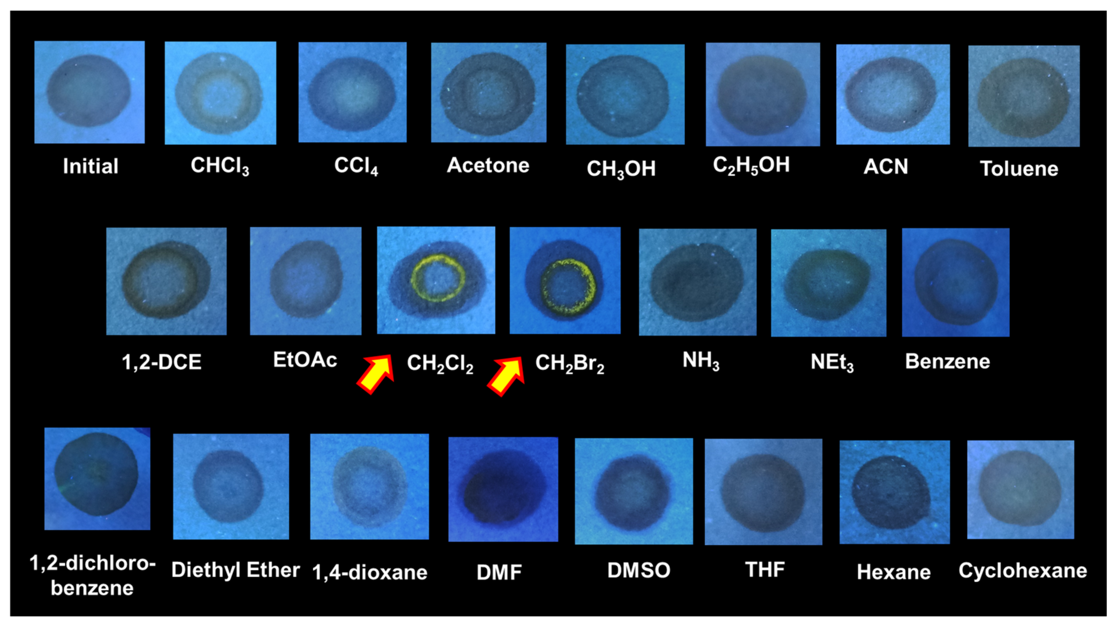 Molecules 27 00202 g004