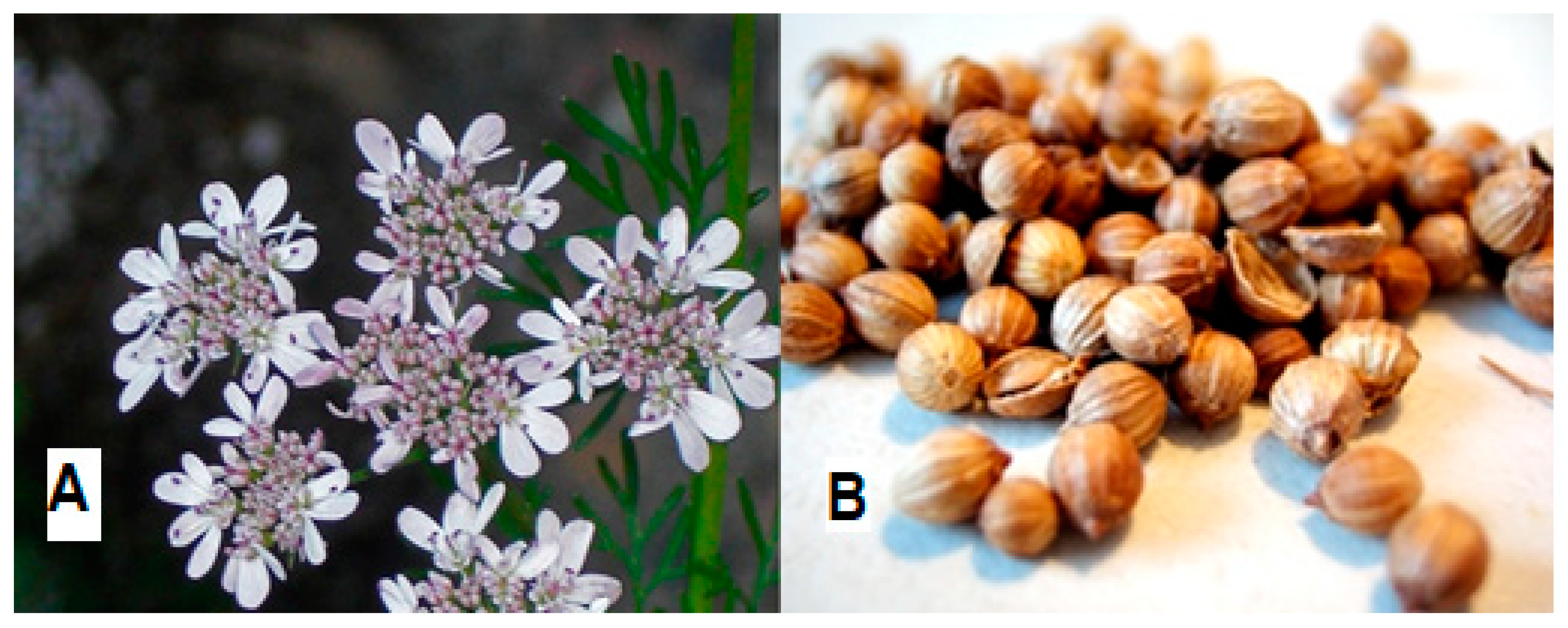 Molecules 27 00209 g001