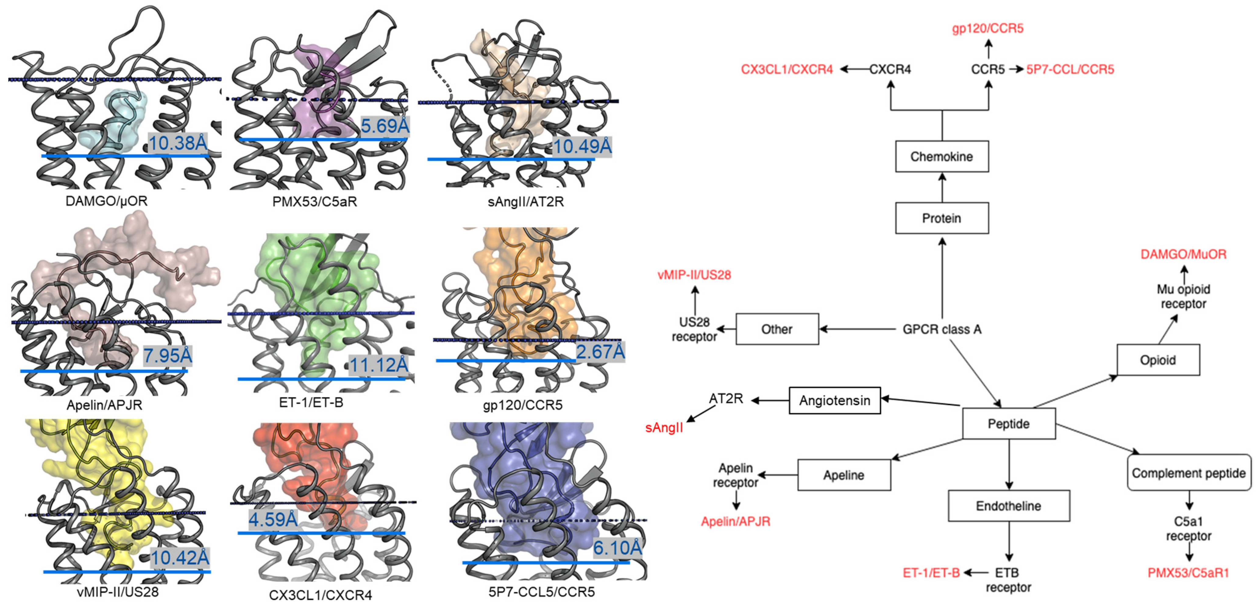 Molecules 27 00210 g001