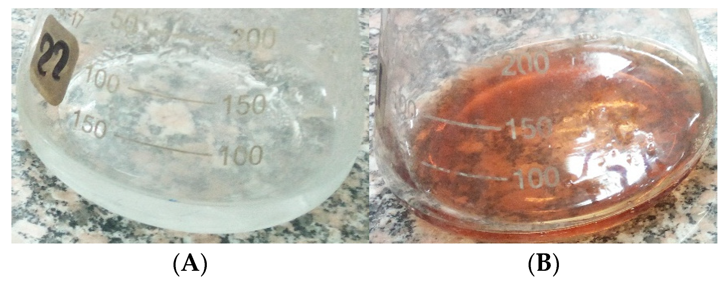 Molecules 27 00212 g001