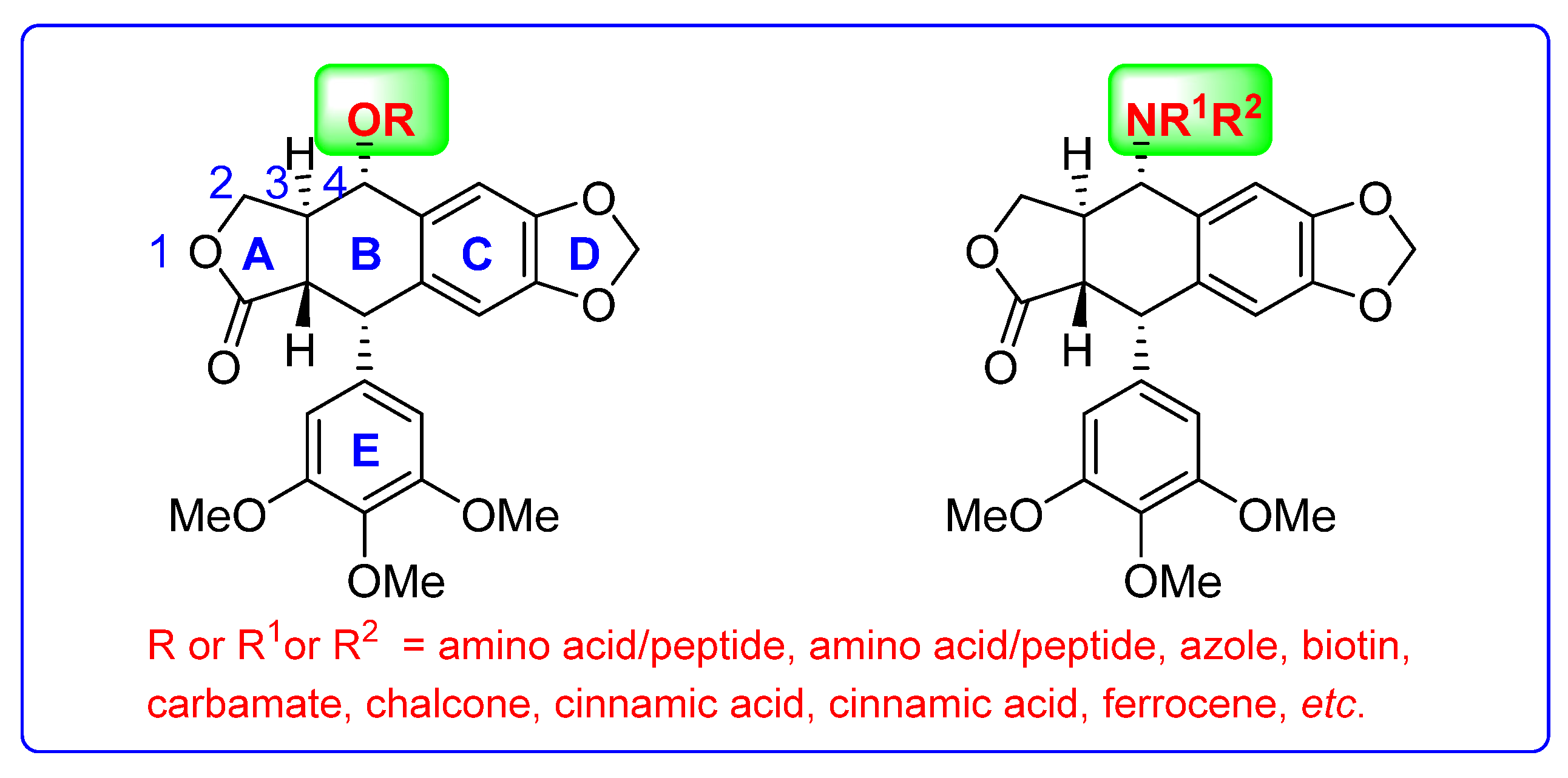 Molecules 27 00220 g001
