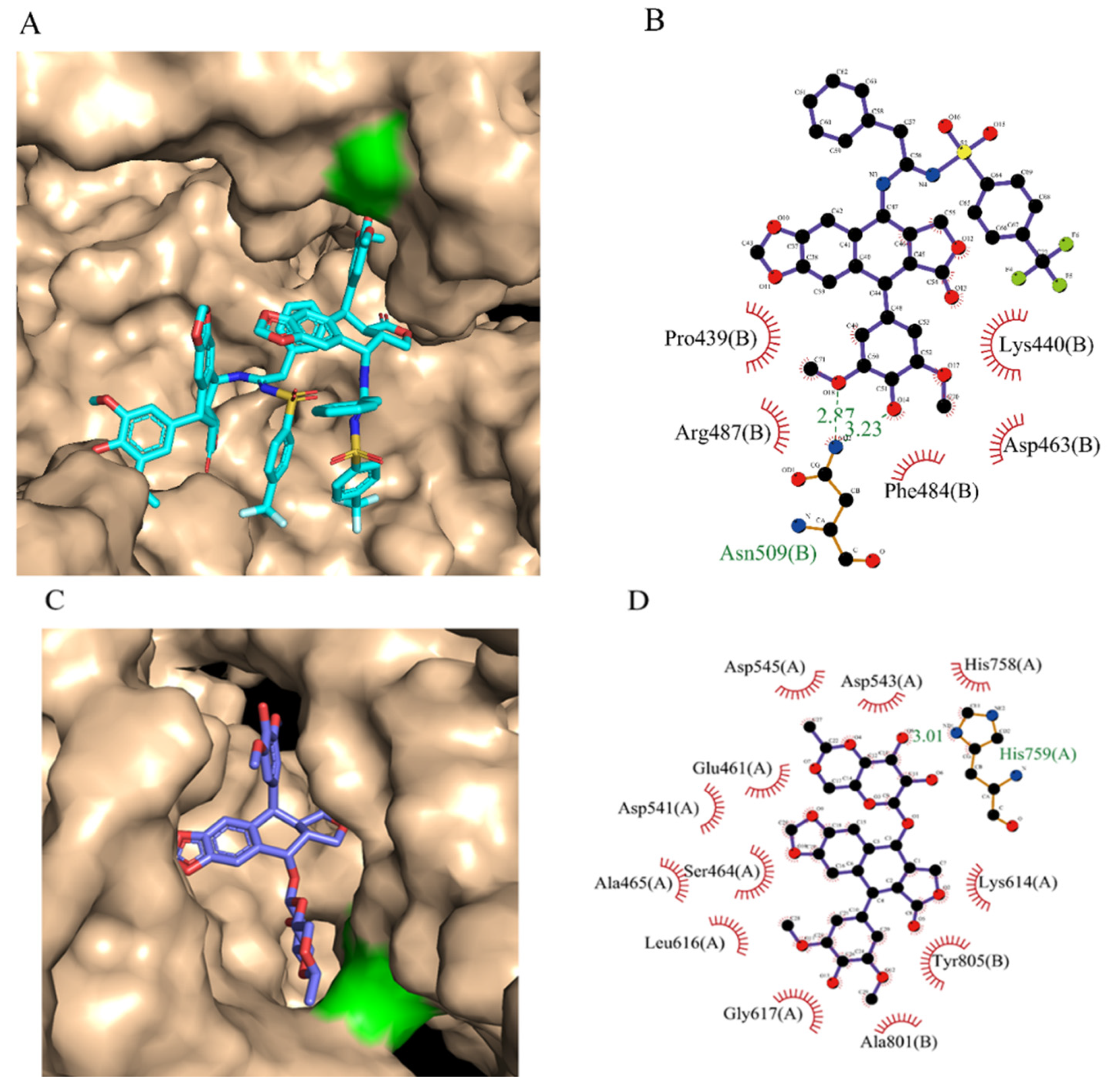 Molecules 27 00220 g004