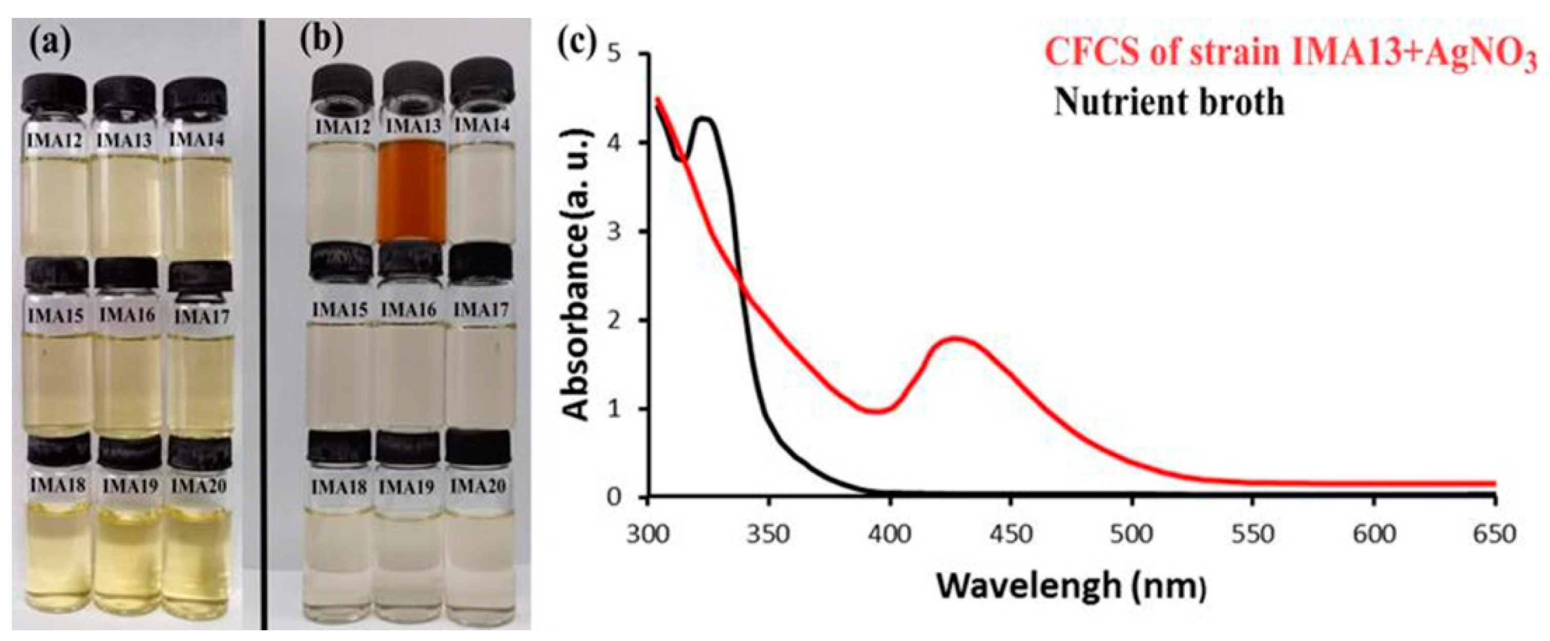 Molecules 27 00224 g001
