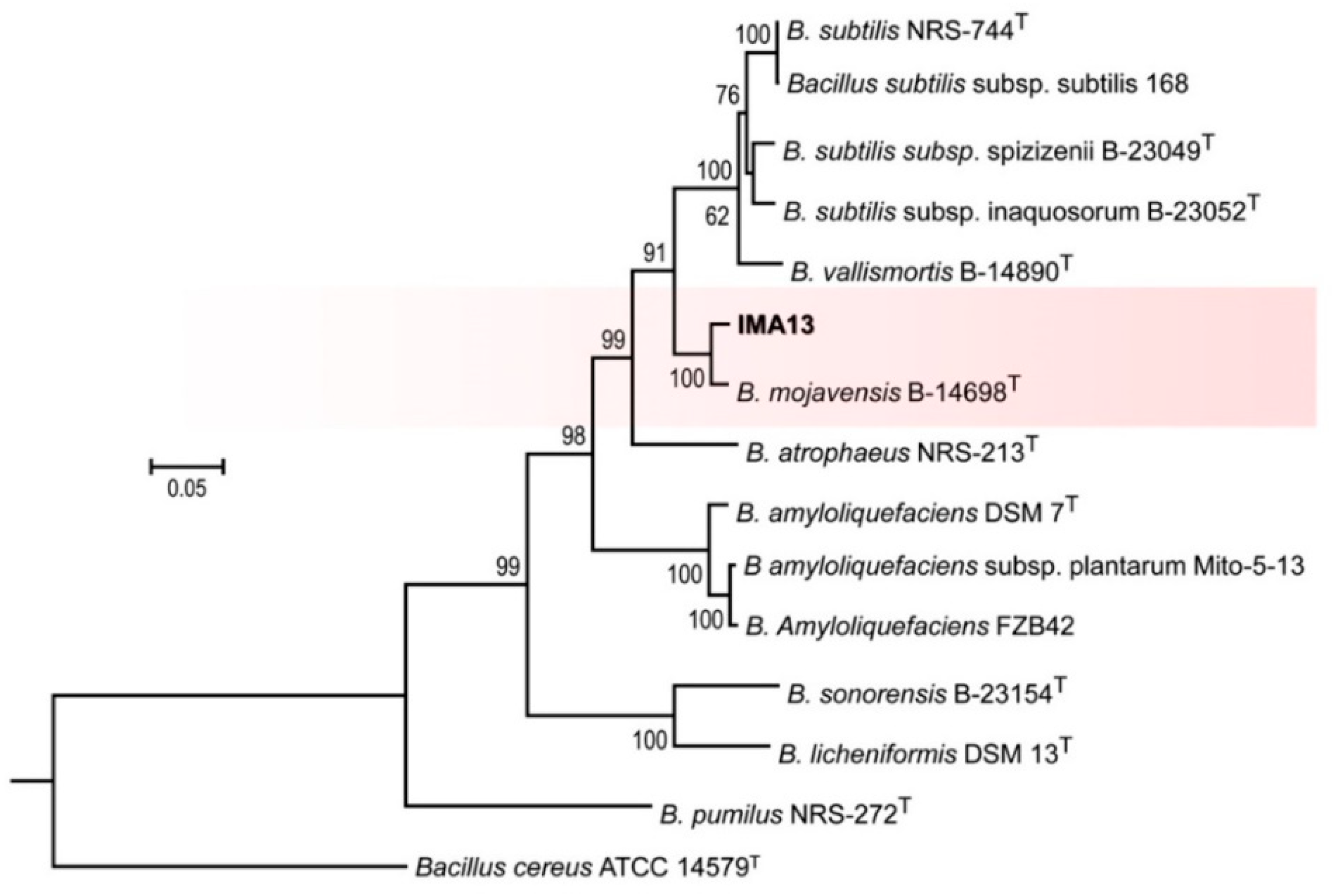 Molecules 27 00224 g005