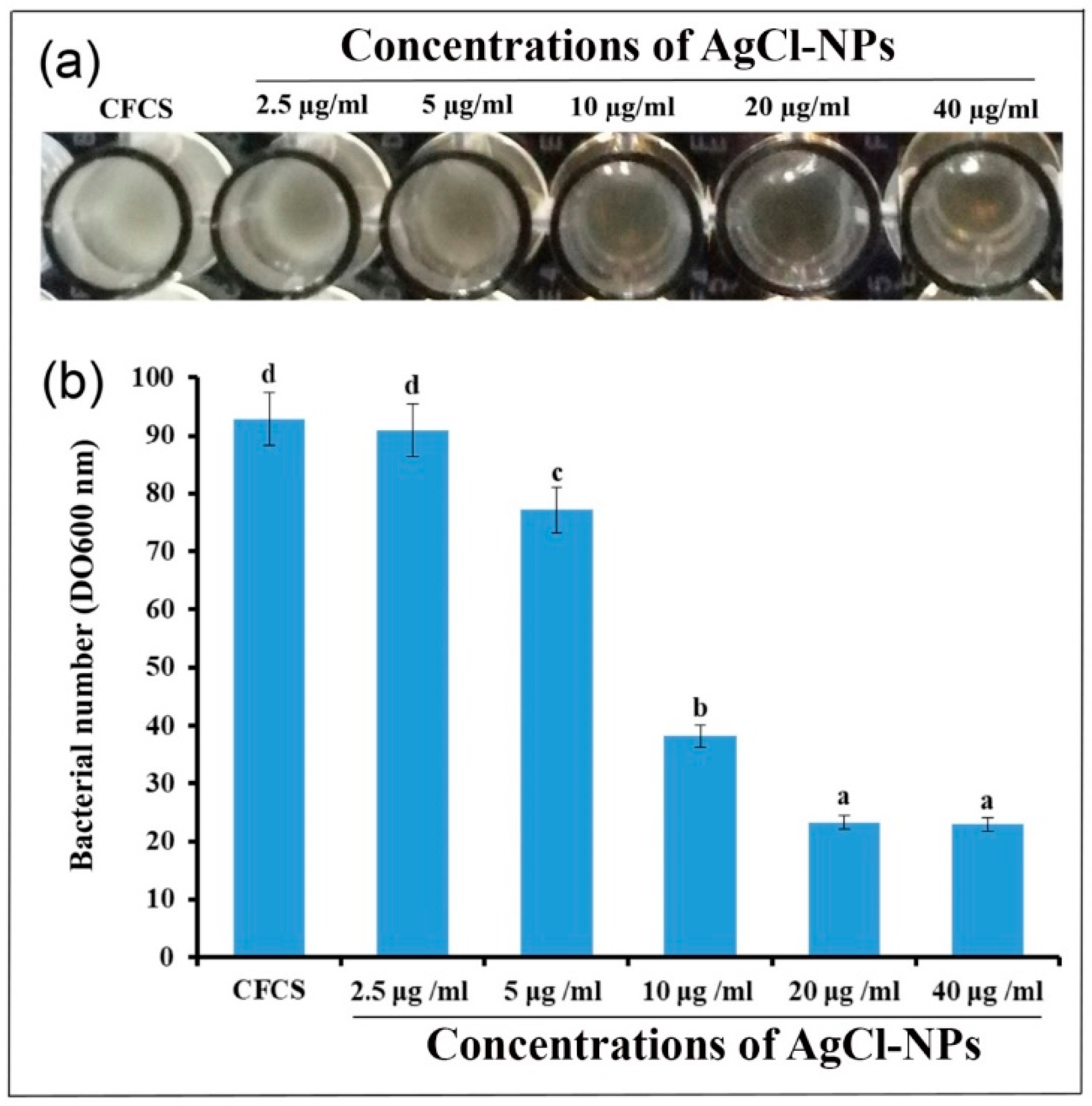 Molecules 27 00224 g009
