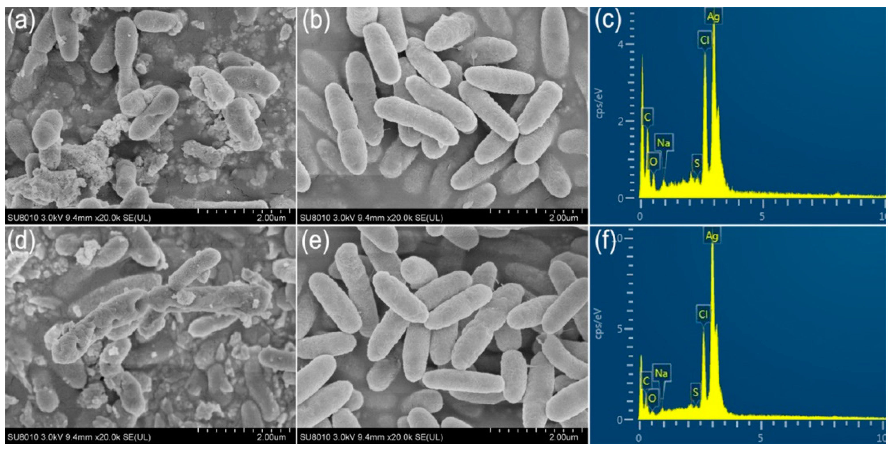 Molecules 27 00224 g010