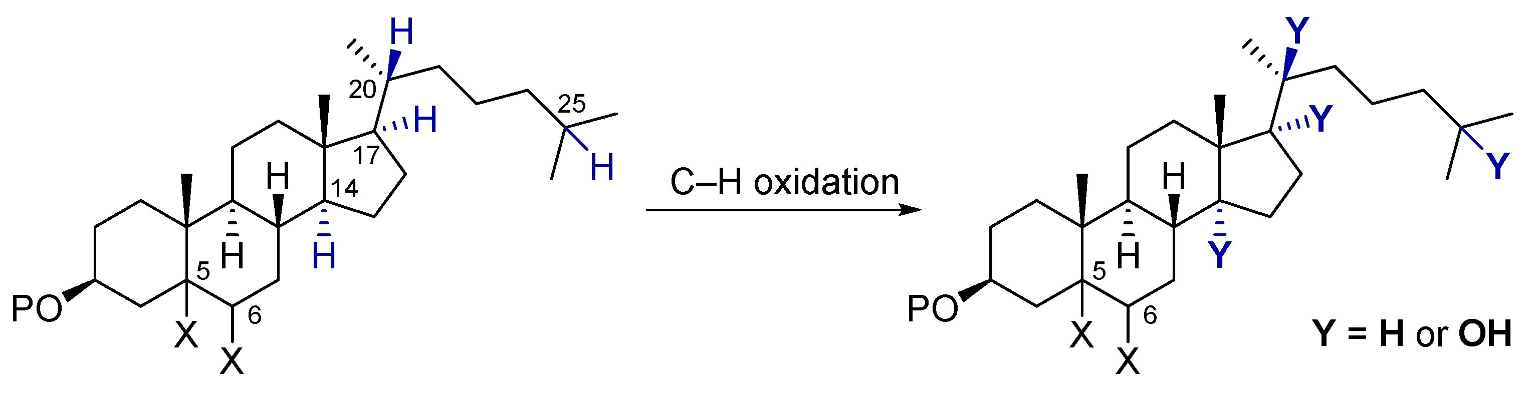 Molecules 27 00225 g001 Molecules 27 00225 g001