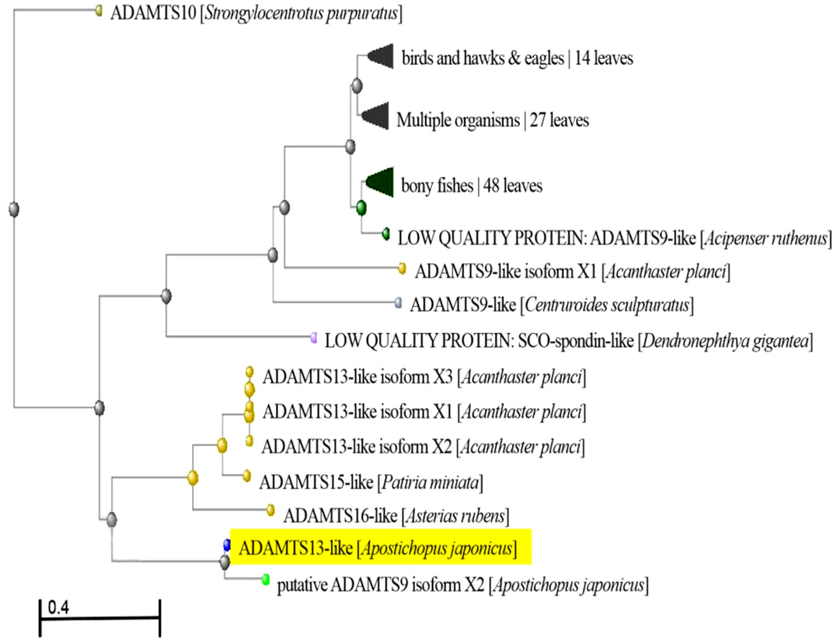 Molecules 27 00229 g001 Molecules 27 00229 g001