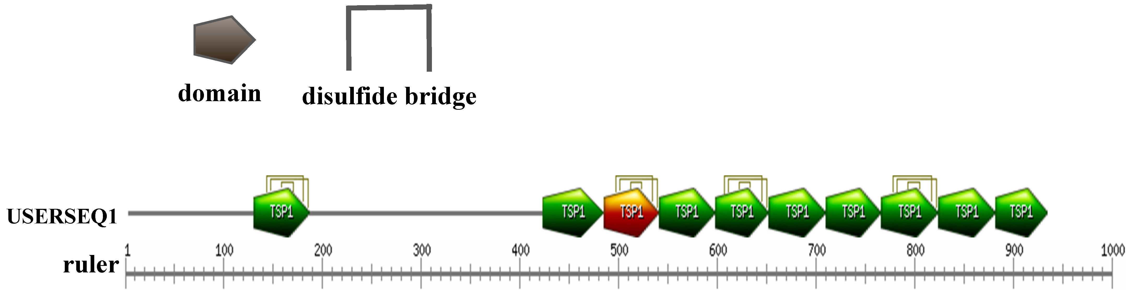 Molecules 27 00229 g002 Molecules 27 00229 g002
