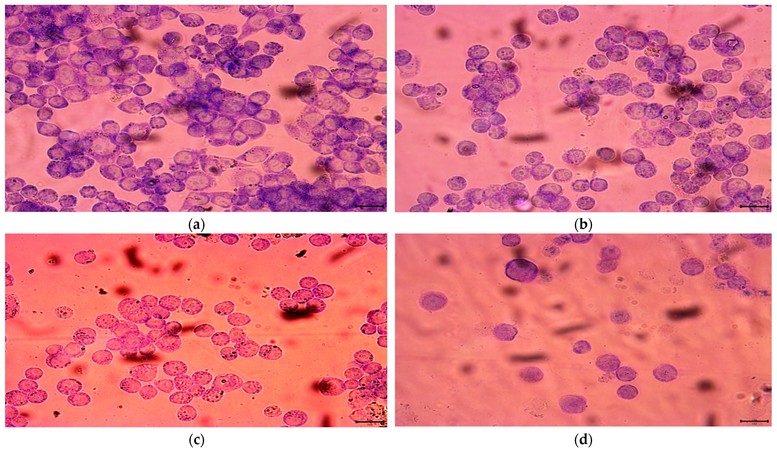 Molecules 27 00229 g006 Molecules 27 00229 g006