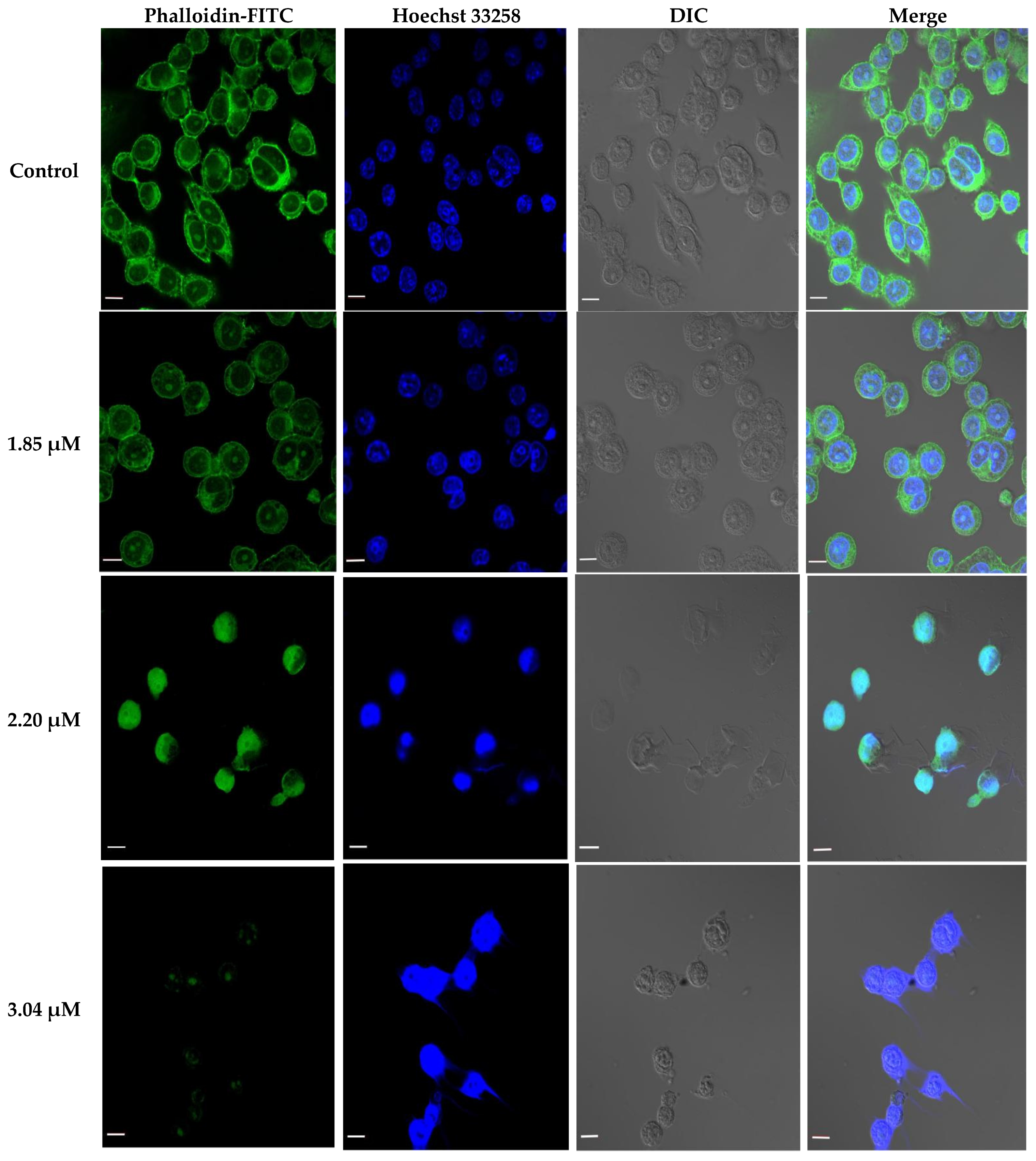 Molecules 27 00229 g008 Molecules 27 00229 g008