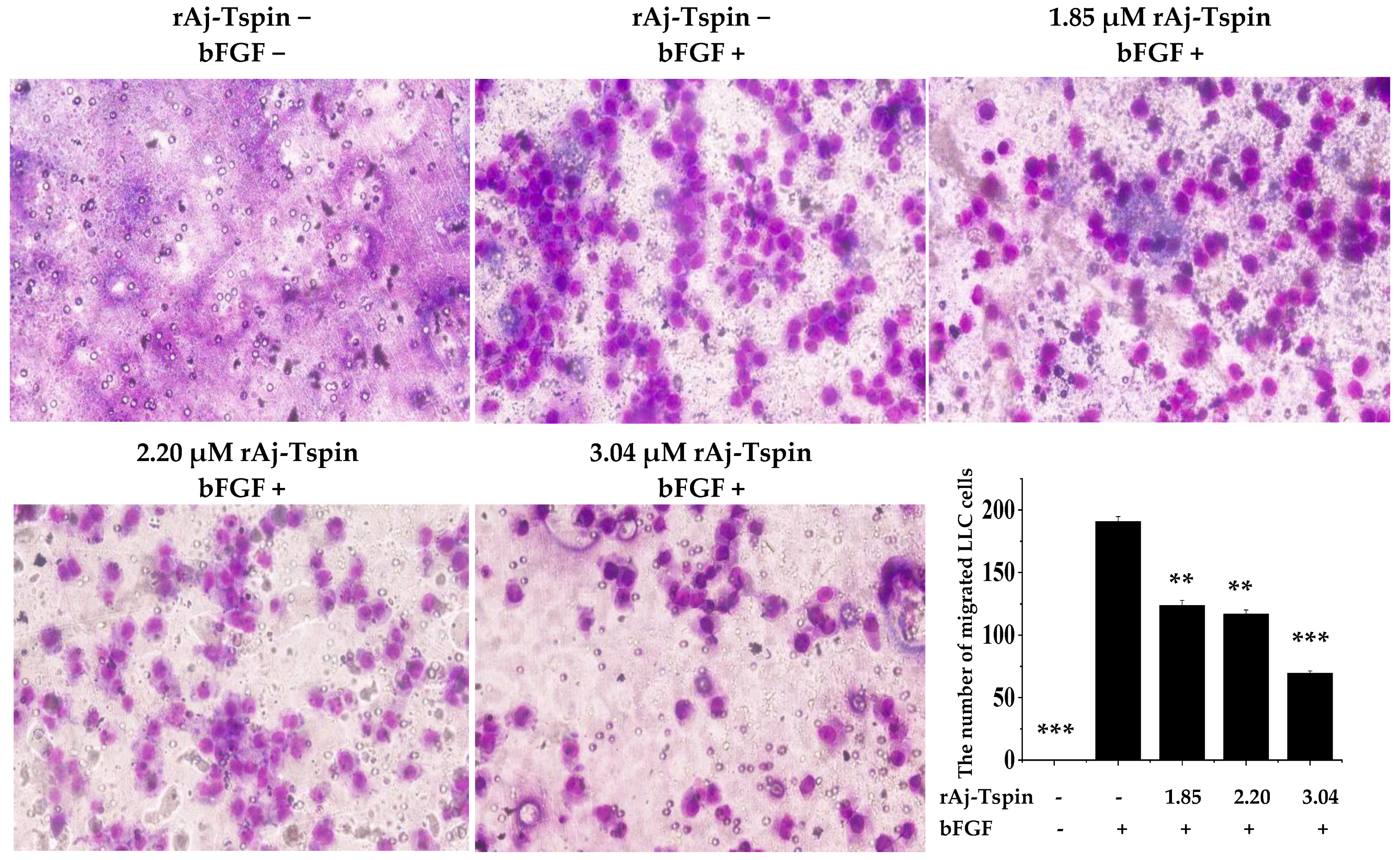Molecules 27 00229 g010 Molecules 27 00229 g010