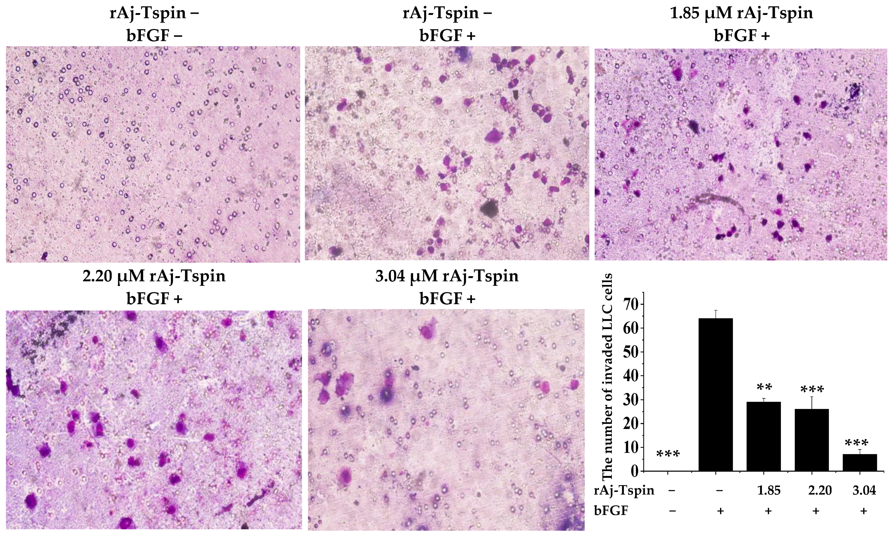 Molecules 27 00229 g011 Molecules 27 00229 g011