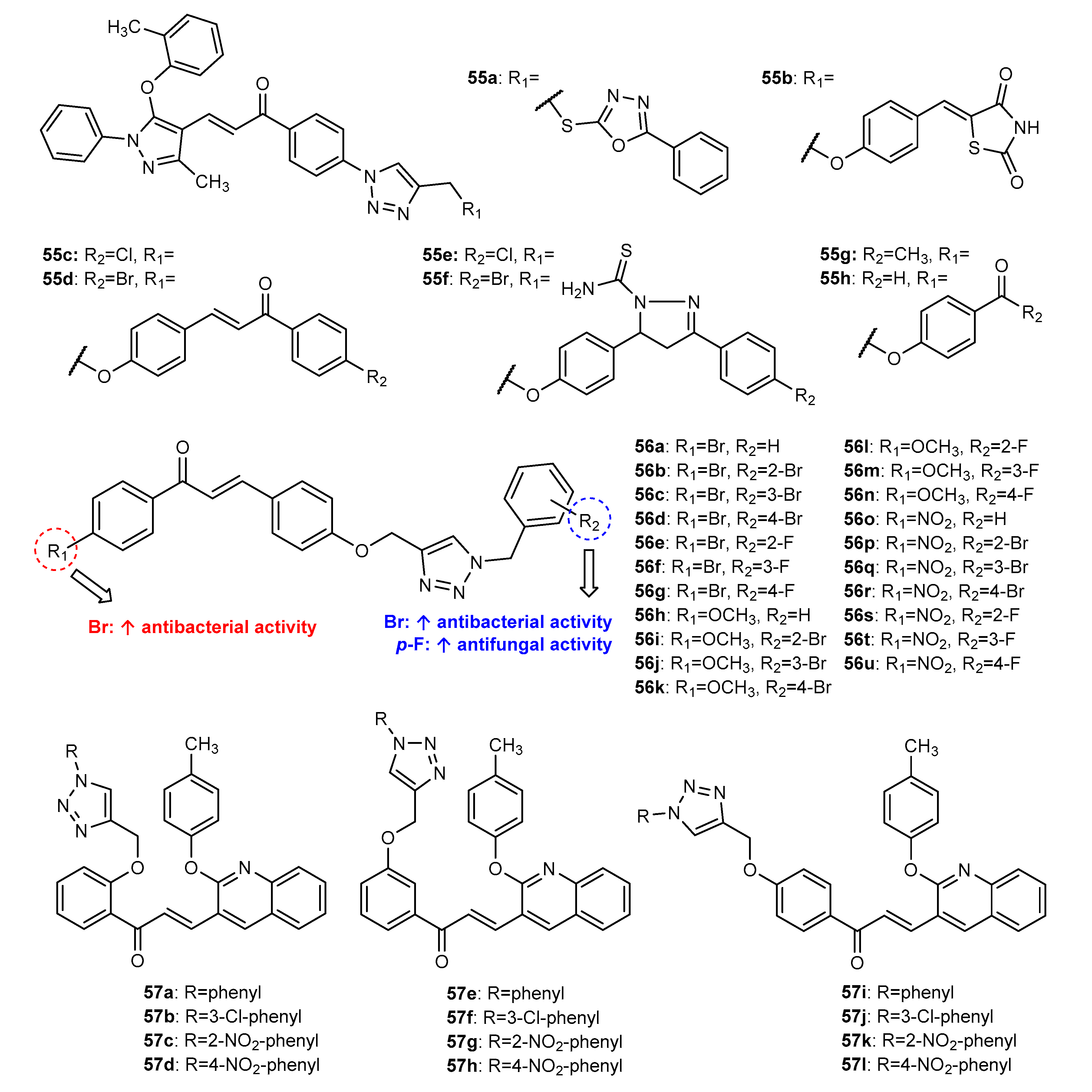 Molecules 27 00230 g020 Molecules 27 00230 g020