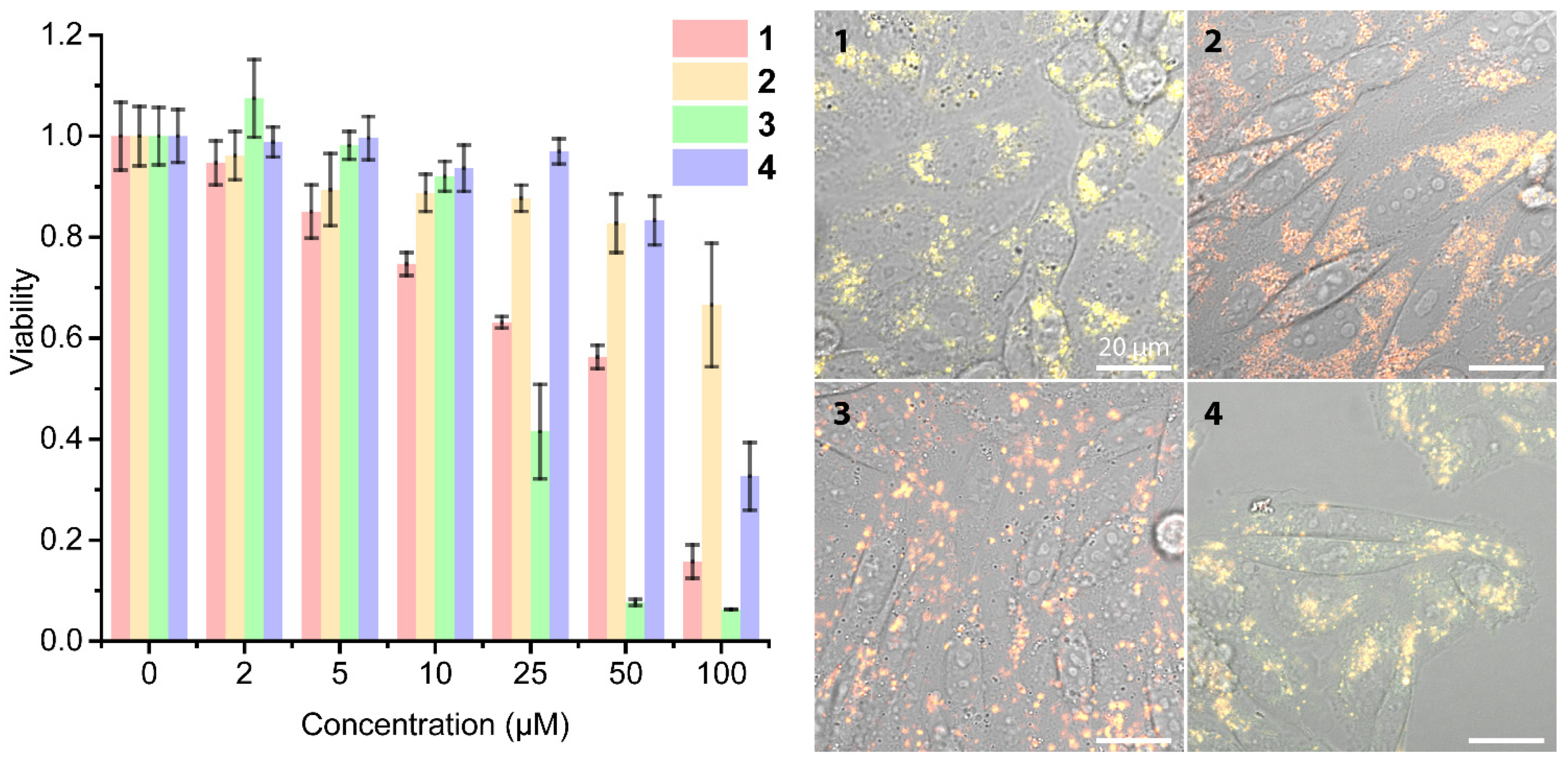 Molecules 27 00232 g008