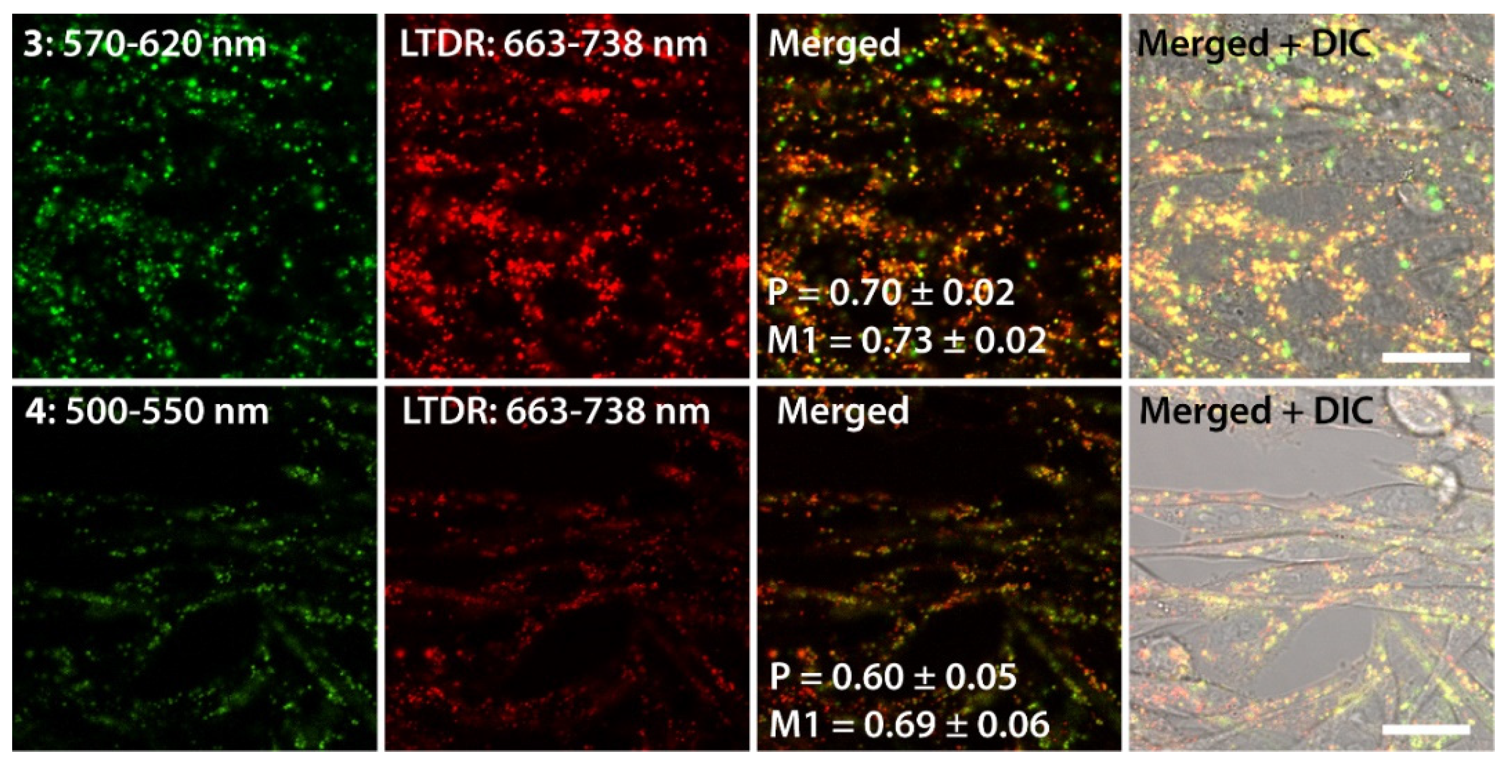 Molecules 27 00232 g009